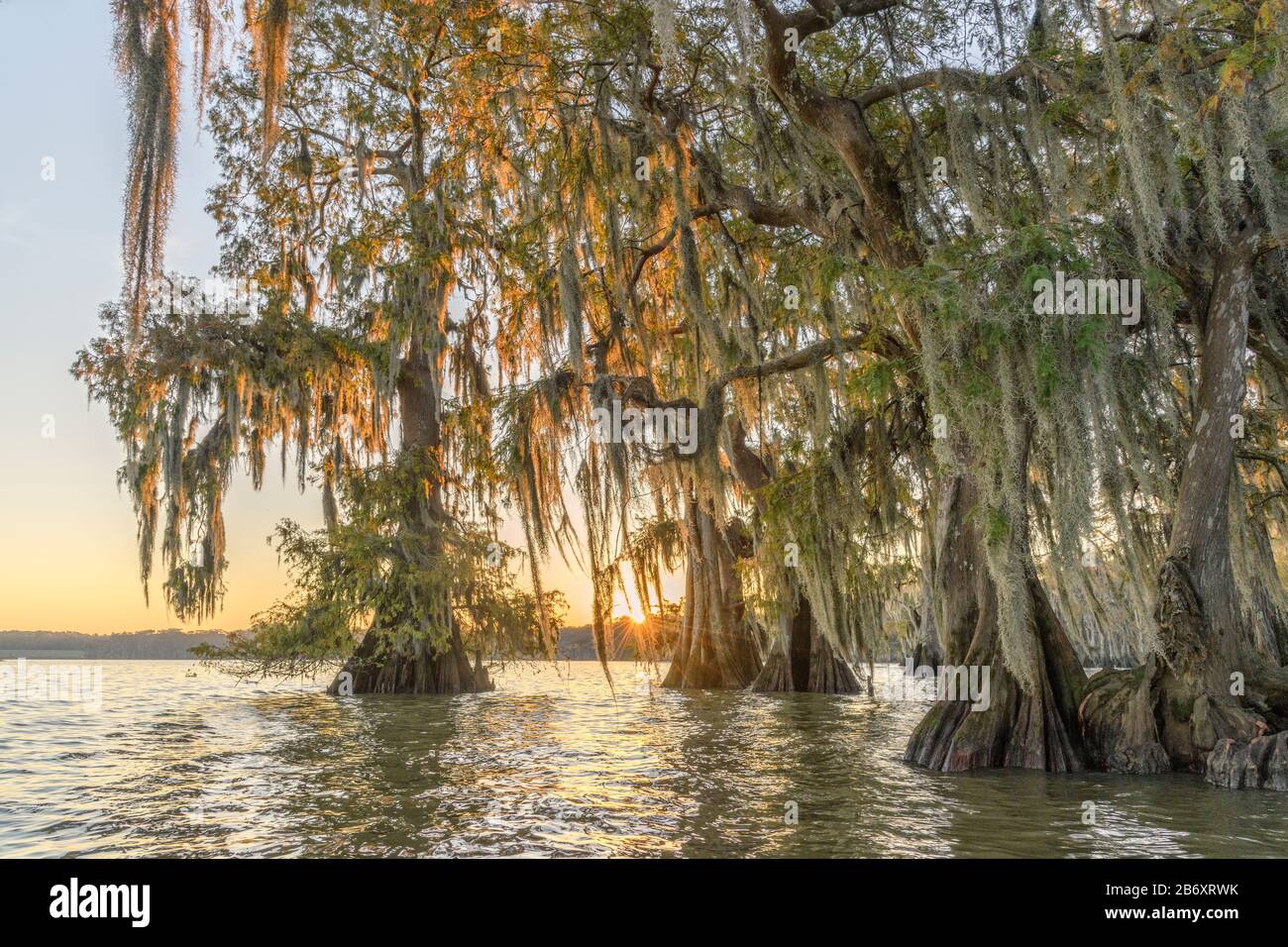 Usa, Deep South, Louisiana, Iberia Parish, Lake Fausee Pointe, *** Local Caption *** Usa, Deep South, Louisiana, Iberia Parish, Lake Fausee Pointe, S. Foto Stock