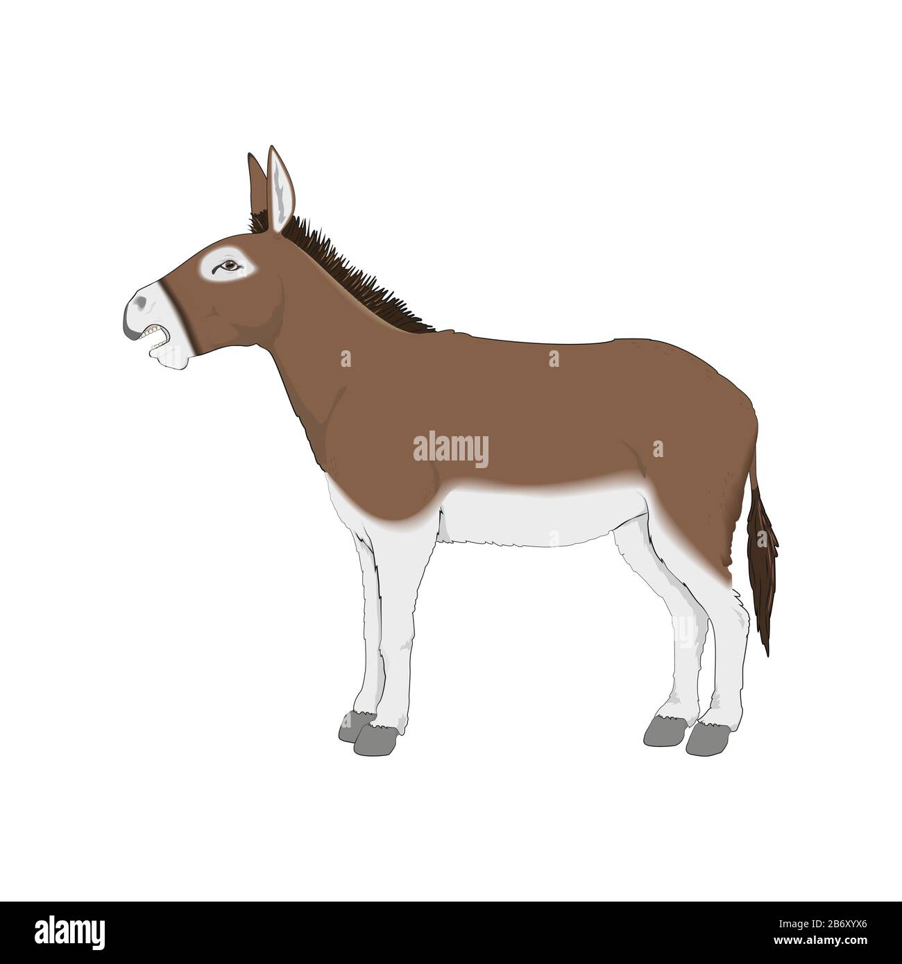 Cute Donkey Vectoral Illustrazione. Sfondo Bianco Isolato. Illustrazione Vettoriale