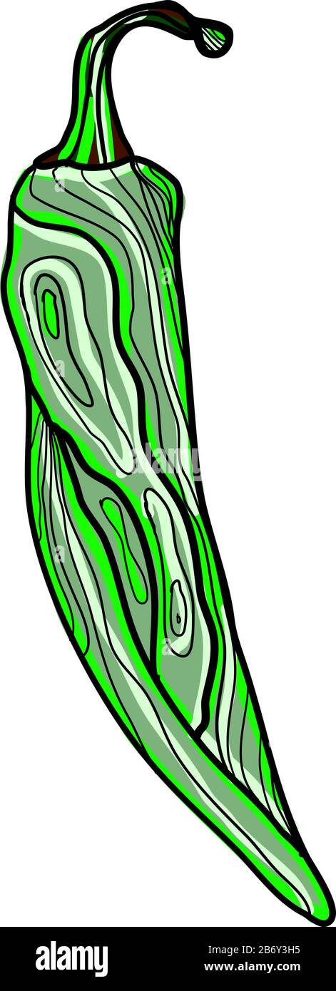 Peperone verde, illustrazione vettore su sfondo bianco. Illustrazione Vettoriale