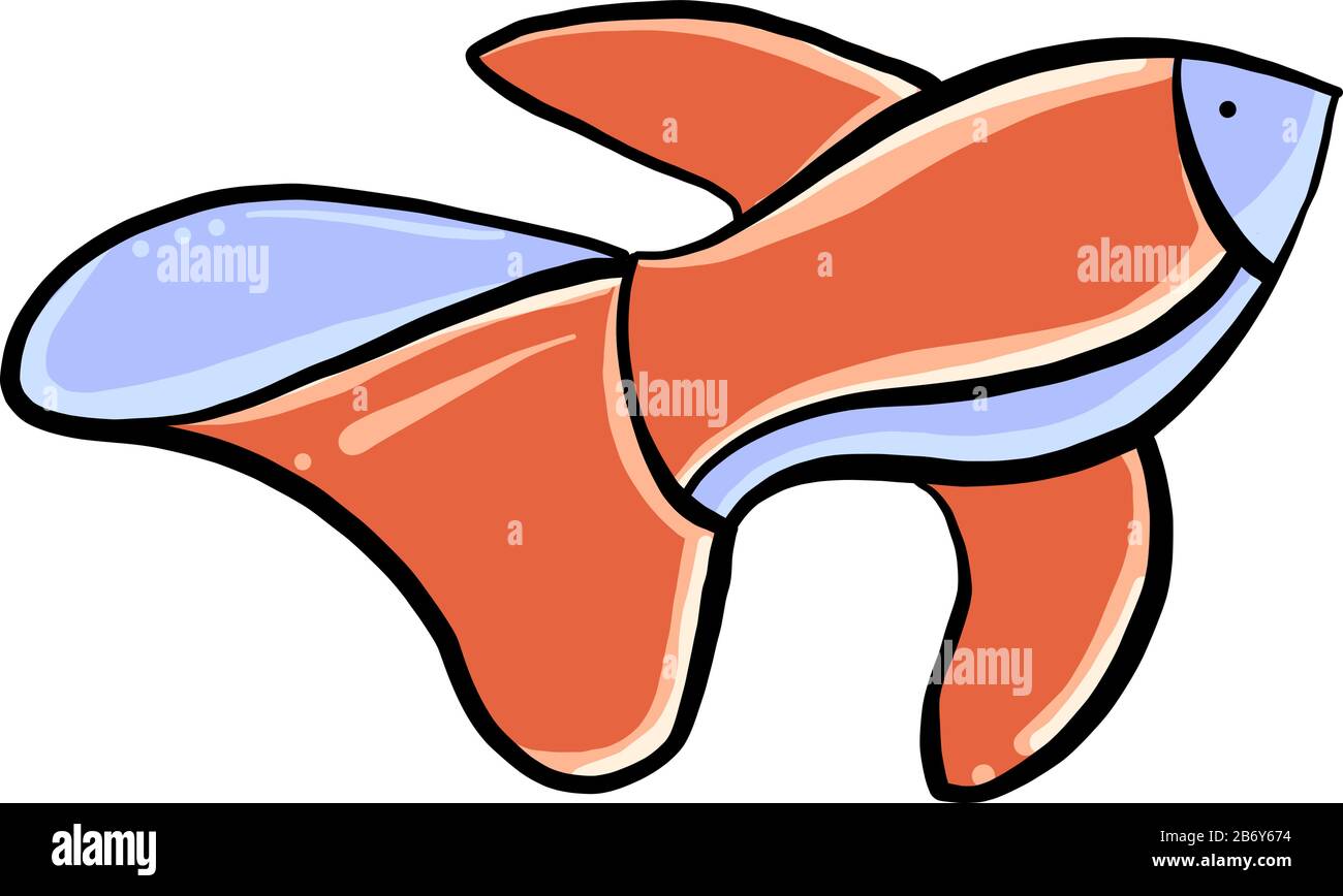 Pesce pagliaccio, illustrazione vettore su sfondo bianco. Illustrazione Vettoriale