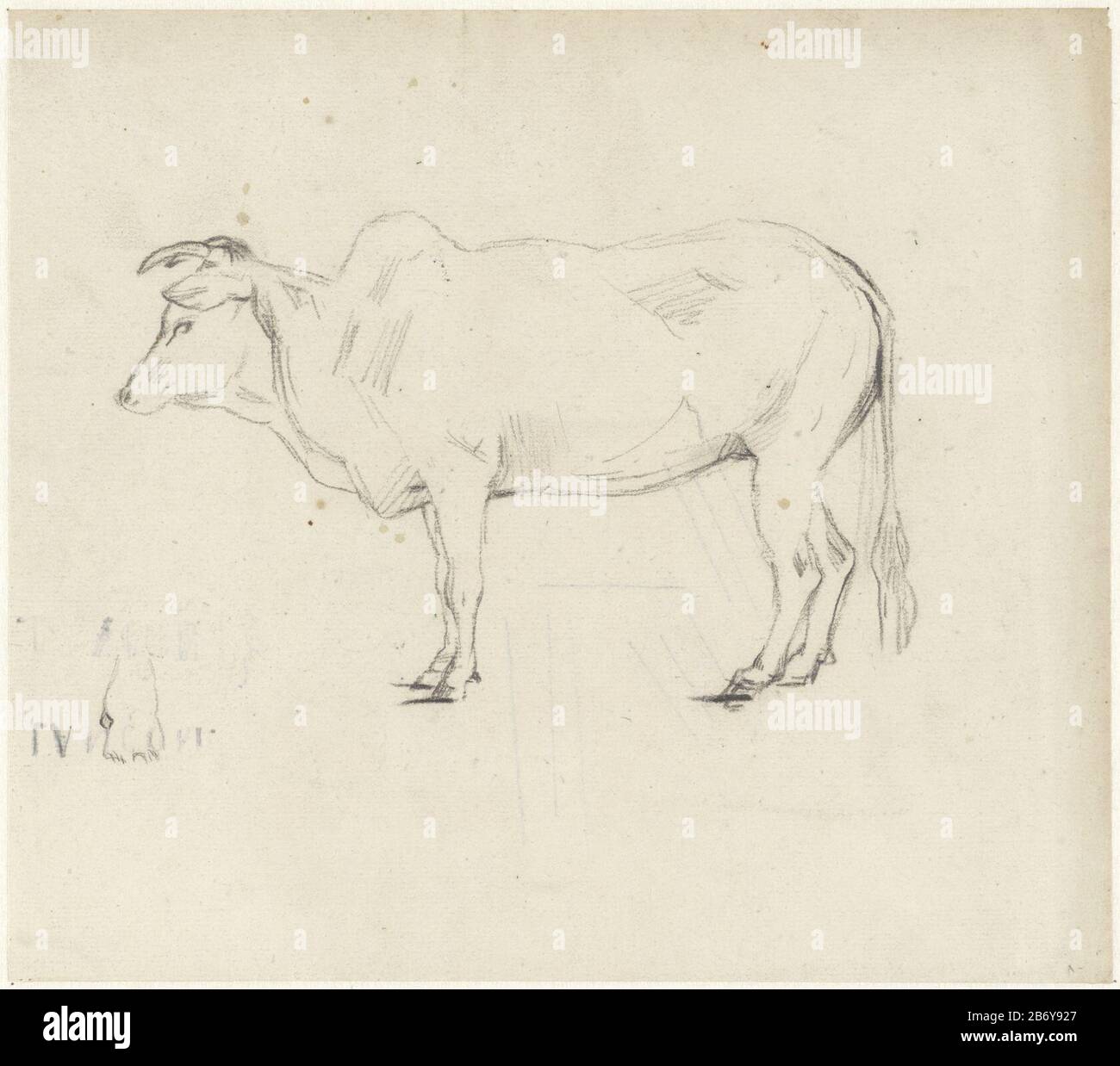 Karbouw Oggetto tipo : disegno Oggetto numero: RP-T 1941-34 Produttore : artista Piet Meiners Data: 1867 - 1903 caratteristiche Fisiche: Gesso nero materiale: Gesso carta dimensioni: H 230 mm × W 260 mm Oggetto: Zoccoli (ACQUA BUFFALO ) Foto Stock