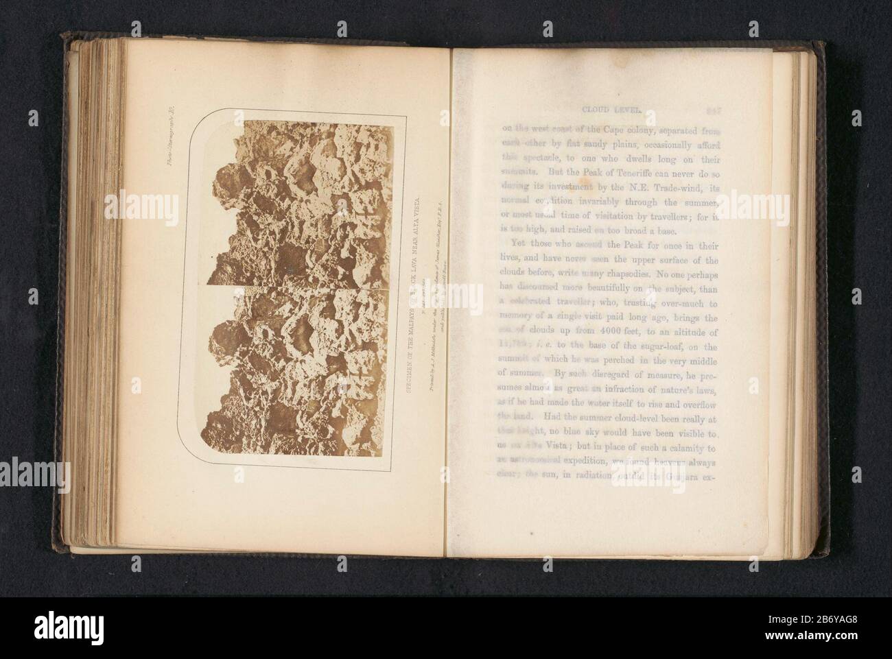 Karst van gestolde lava op Tenerife Esemplare dei malpaga di lava nera vicino ad alta Vista (titel op Object) Karst di lava solidificata su Tenerife Esemplare dei malpaga o lava nera vicino Altavista (title Object) Property Type: Stereo picture page Item number: RP-F 2001-7-352-10 Iscrizioni / marchi: Numero, recto printed: 'Photo-stereograph 10.' Produttore : fotografo: Charles Piazzi Smyth editore: Arthur James Melhuish (listed building) editore: Lovell Reeve (listed property) Luogo produzione: Tenerife Dating: CA. 1881 - o per 1886 Materiale: Carta tecnica: Albumen stampa dimensioni Foto Stock