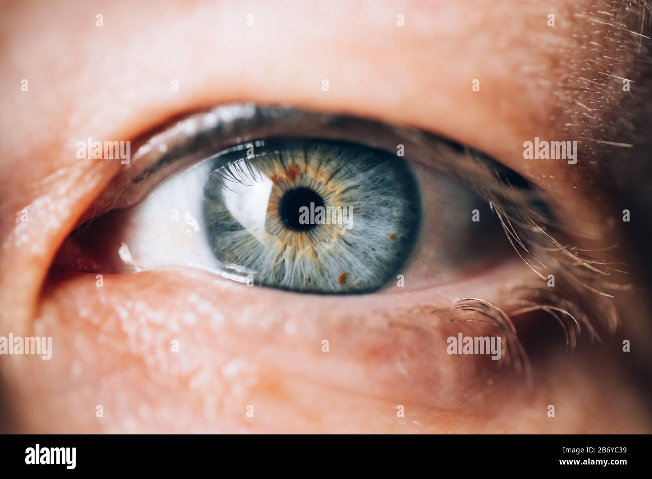 l'occhio blu della donna matura Foto Stock