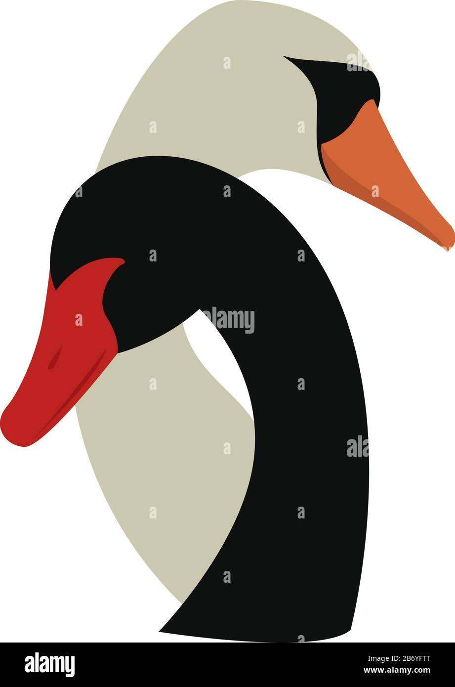 Cigno bianco e nero, illustrazione, vettore su sfondo bianco. Illustrazione Vettoriale