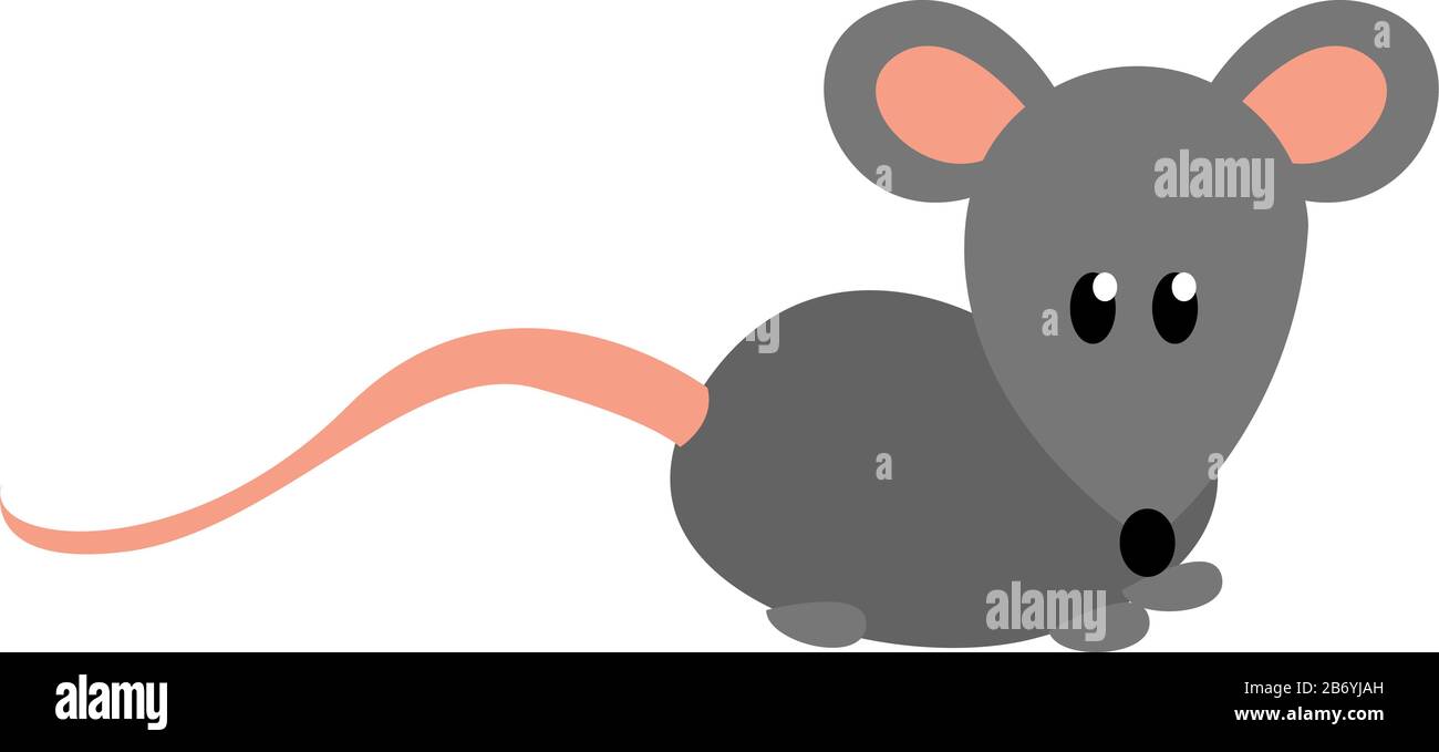 Mouse grigio, illustrazione vettore su sfondo bianco. Illustrazione Vettoriale
