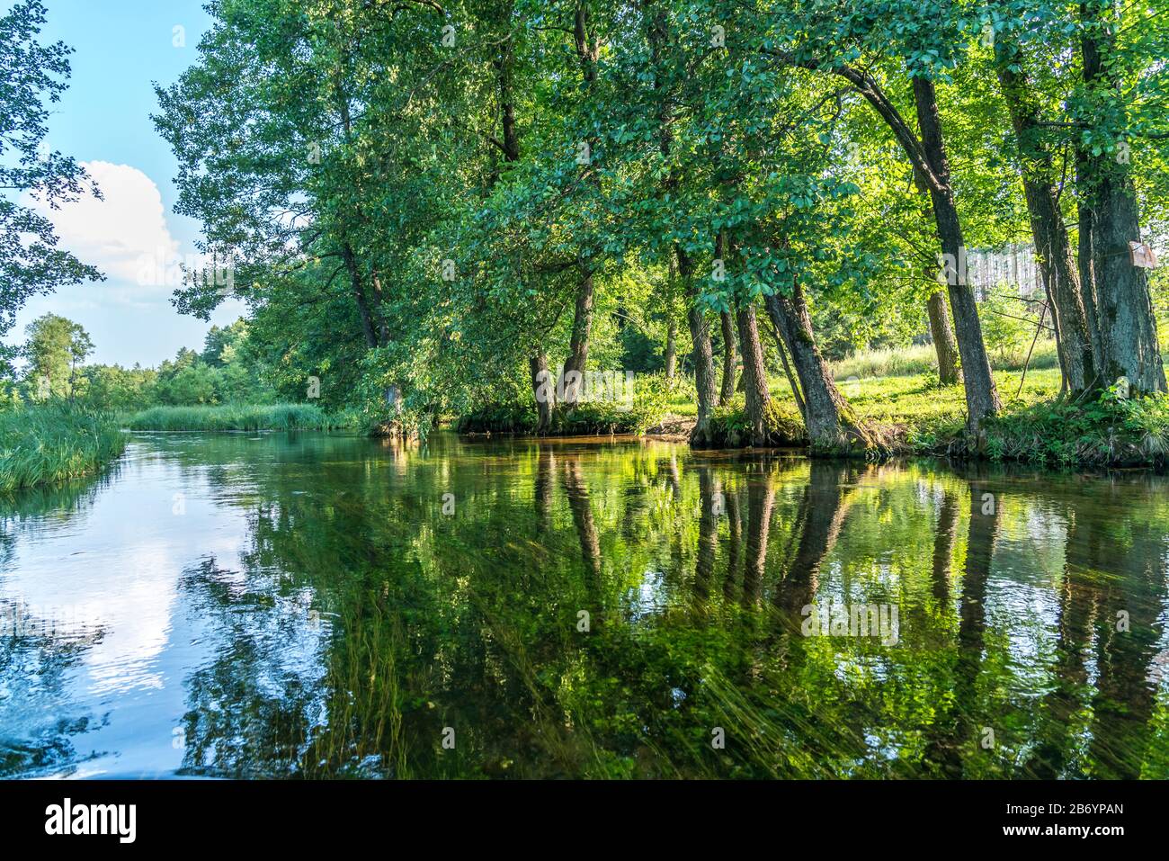 Landschaft am Fluss Czarna Hancza, bei Kanufahrern beliebter Nebenfluss der Memel in der polnischen Woiwodschaft Podlachien, Polen, Europa | paesaggista Foto Stock
