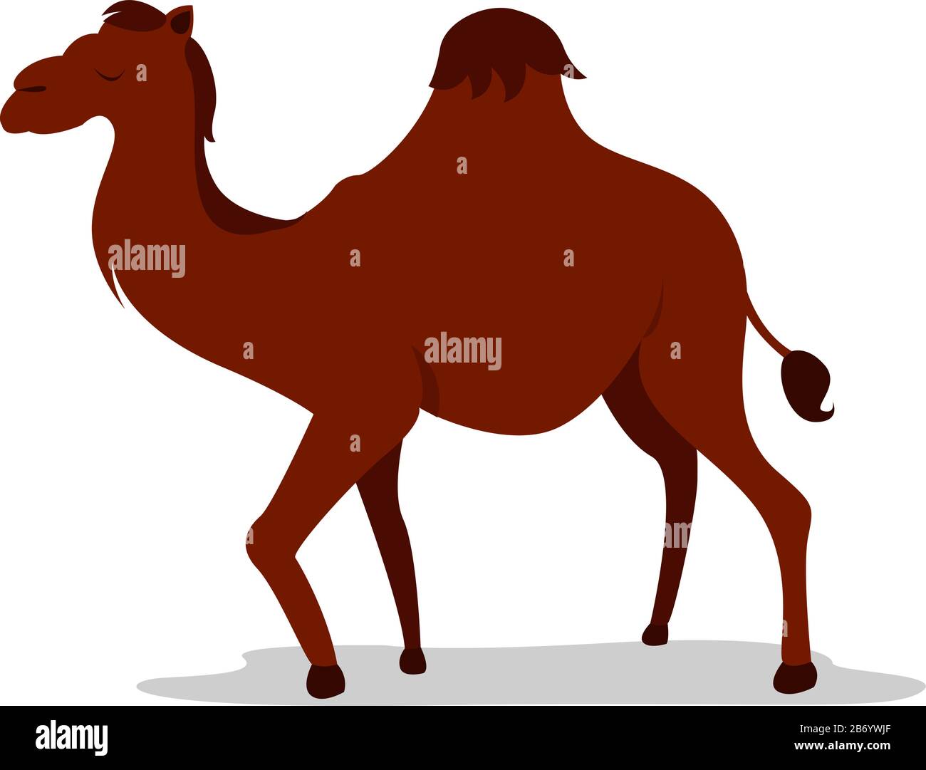 Un cammello a dosso, illustrazione, vettore su sfondo bianco. Illustrazione Vettoriale