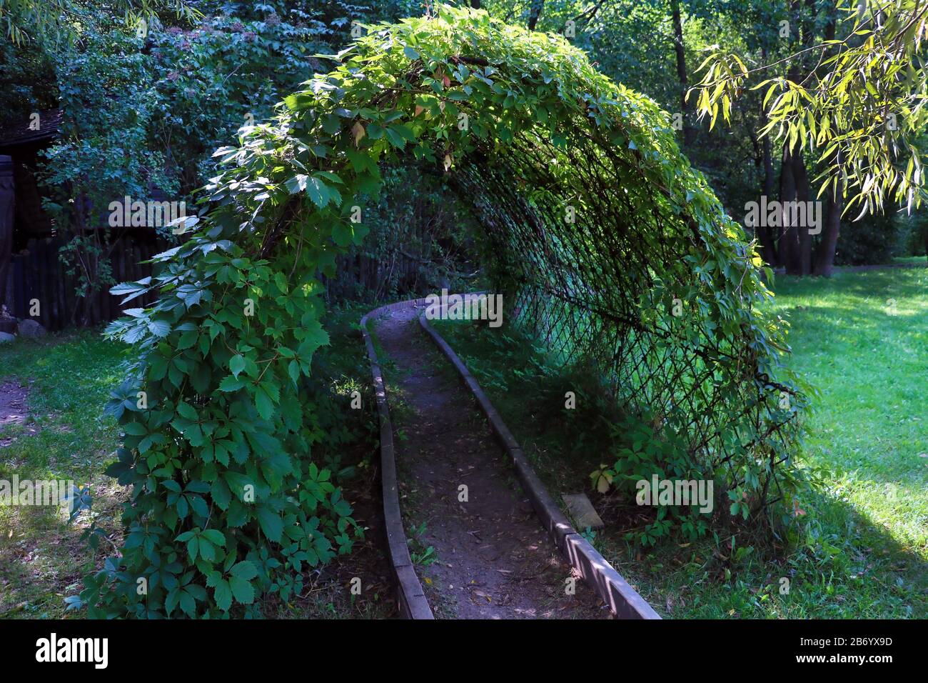 Bellissimo sentiero nel giardino per passeggiate attraverso gli archi verdi della vegetazione Foto Stock