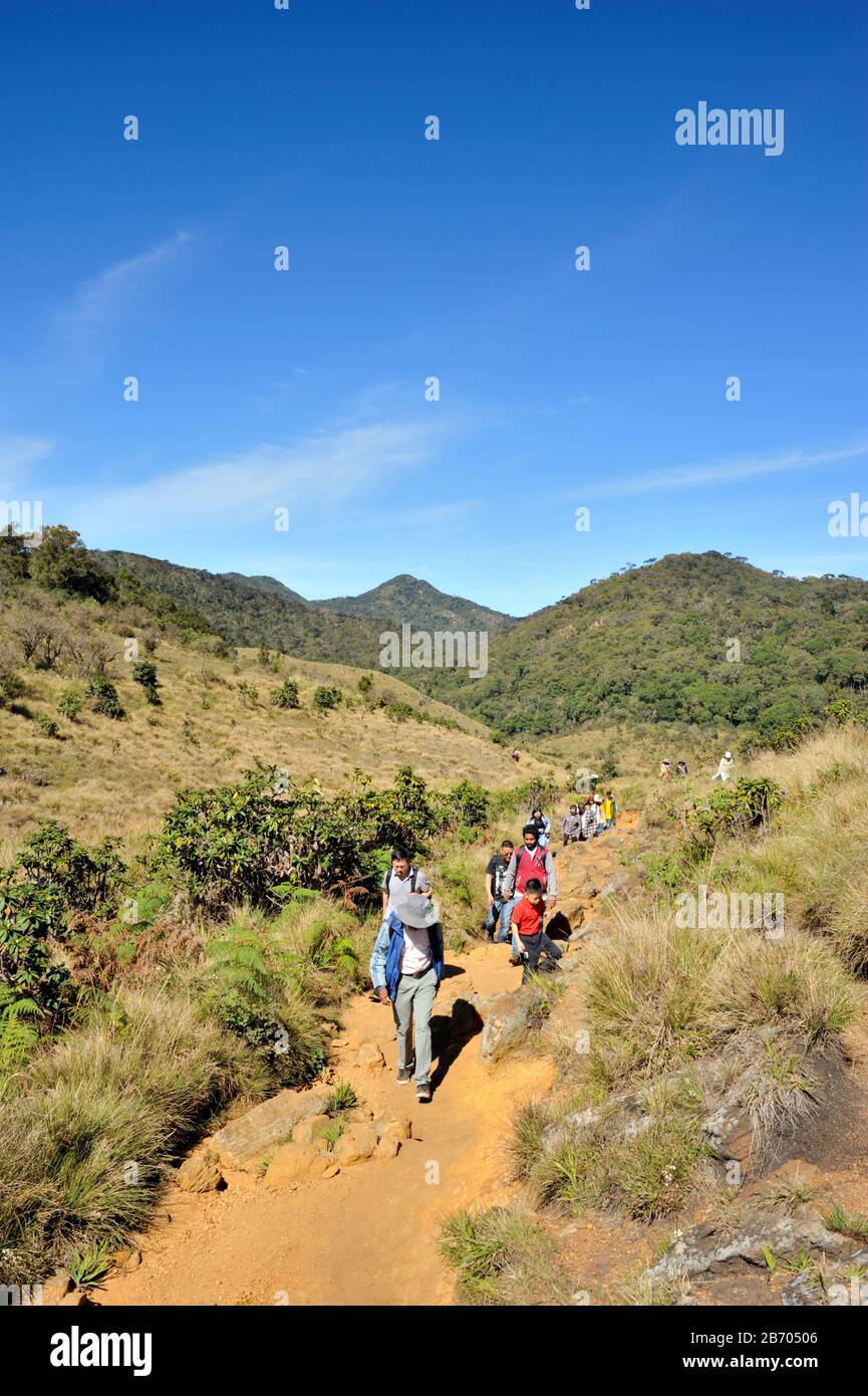 Sri Lanka, Parco Nazionale delle pianure di Horton, escursioni sulla strada Foto Stock