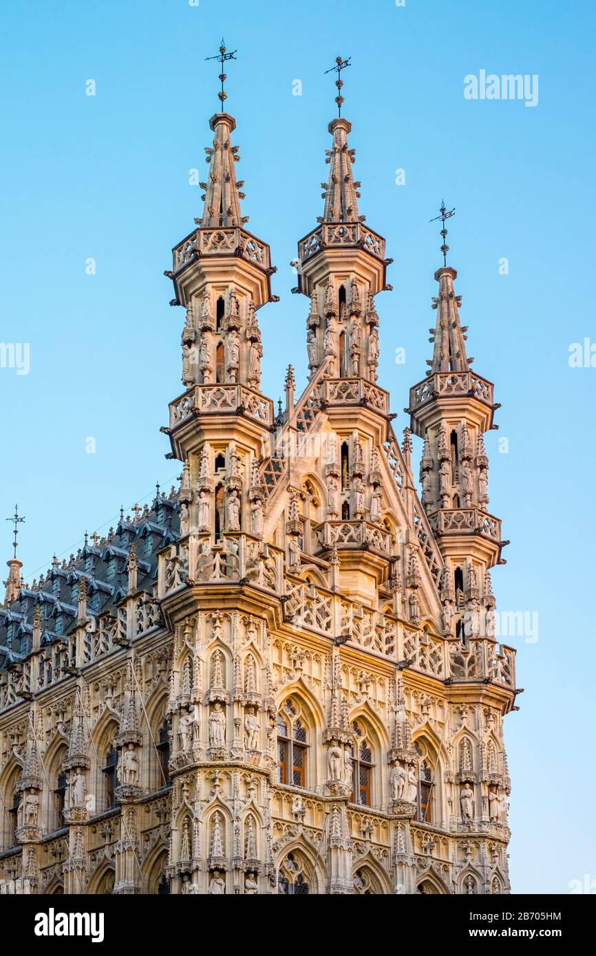 Leuven Stadhuis (Municipio) e gli edifici sul Grote Markt, Leuven, Brabante Fiammingo, Fiandre, in Belgio Foto Stock