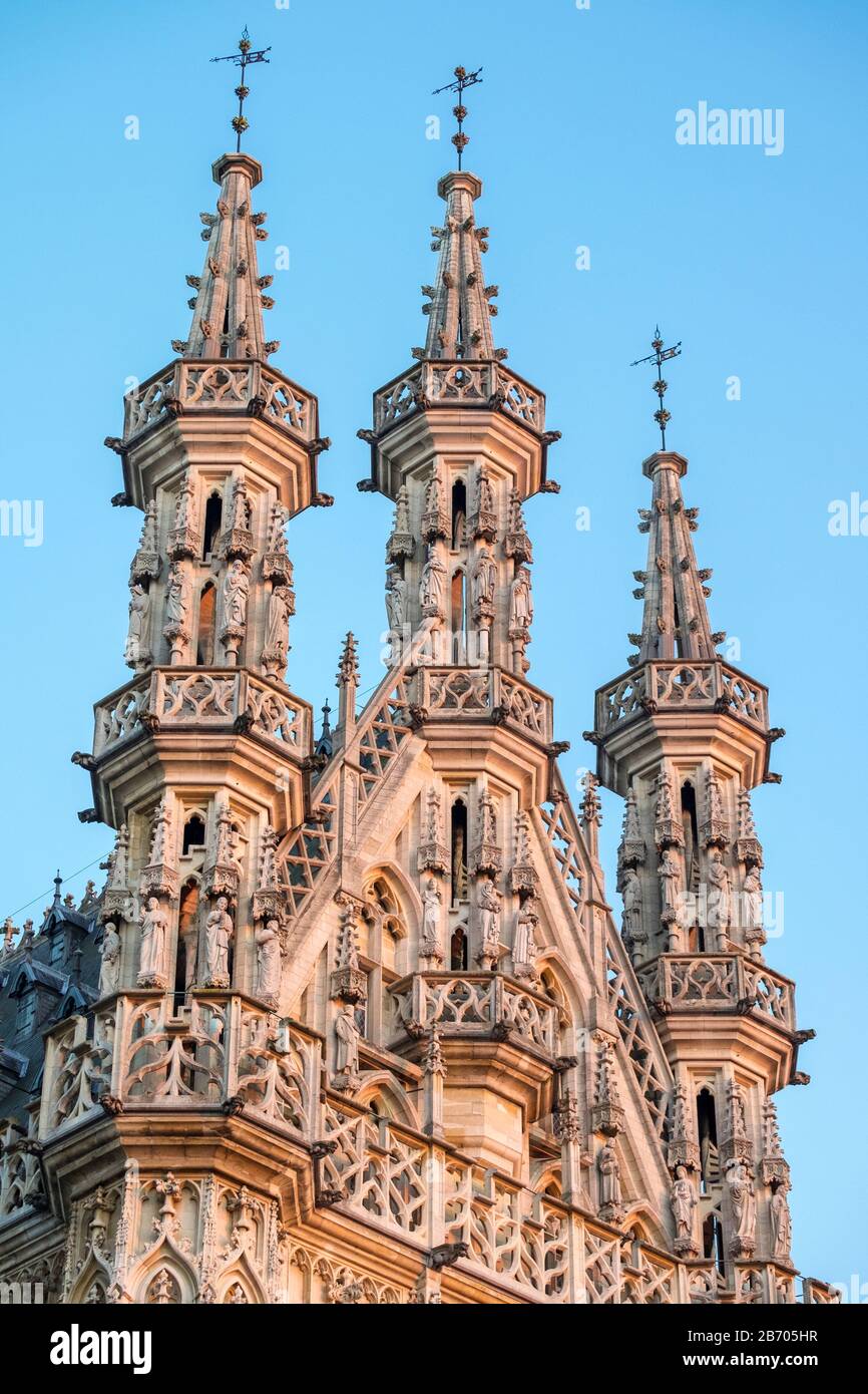 Leuven Stadhuis (Municipio) e gli edifici sul Grote Markt, Leuven, Brabante Fiammingo, Fiandre, in Belgio Foto Stock