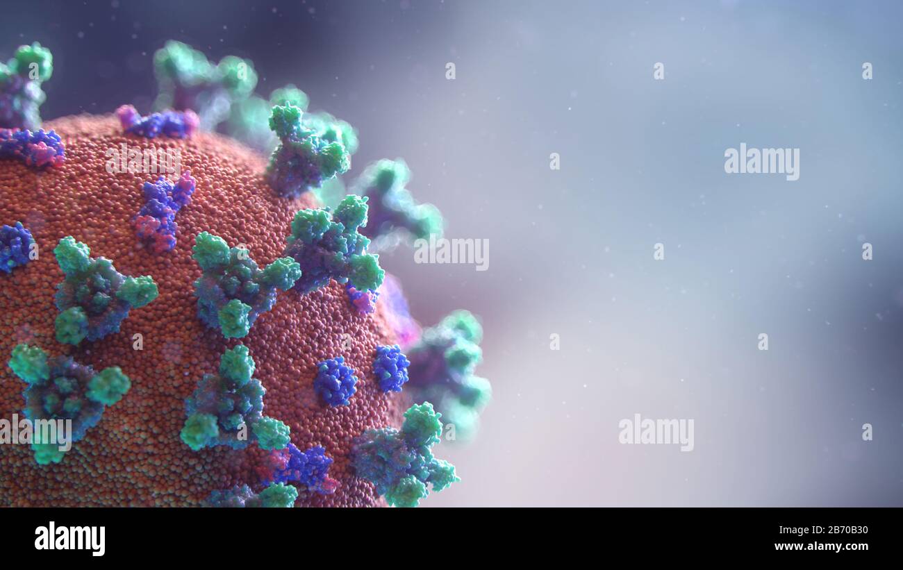 Nuova visualizzazione 3D del virus Covid-19. La maggior parte delle persone infette da Coronavirus sviluppa una grave malattia respiratoria acuta con sintomi di febbre, tosse e respiro corto. Credit: Fusion Medical Animation/Alamy Live News Foto Stock