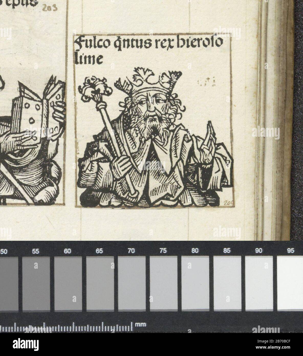 Koning Fulco V van Anjou Fulco quintus rex hierosolime (titel op object) Liber Chronicarum (seriettel) Een bloemkelk met een koning. Hij heedft een scetter in zijn mano. De tekst identificeert de man als Fulco V van Anjou. De prent maakt deel uit van een album. Produttore : produttore : Michel Wolgemut (atelier van)produttore : Wilhelm Pleydenwurff (atelier van)Plaats fabbricante: Neurenberg datazione: 1493 kenmerken Fisico: Houtsnede geplakt op albumblad; tekst in boekdruk; verso met houtsowde Materiale: Papier Techniek: Boekdruk / × 60 mm Foto Stock