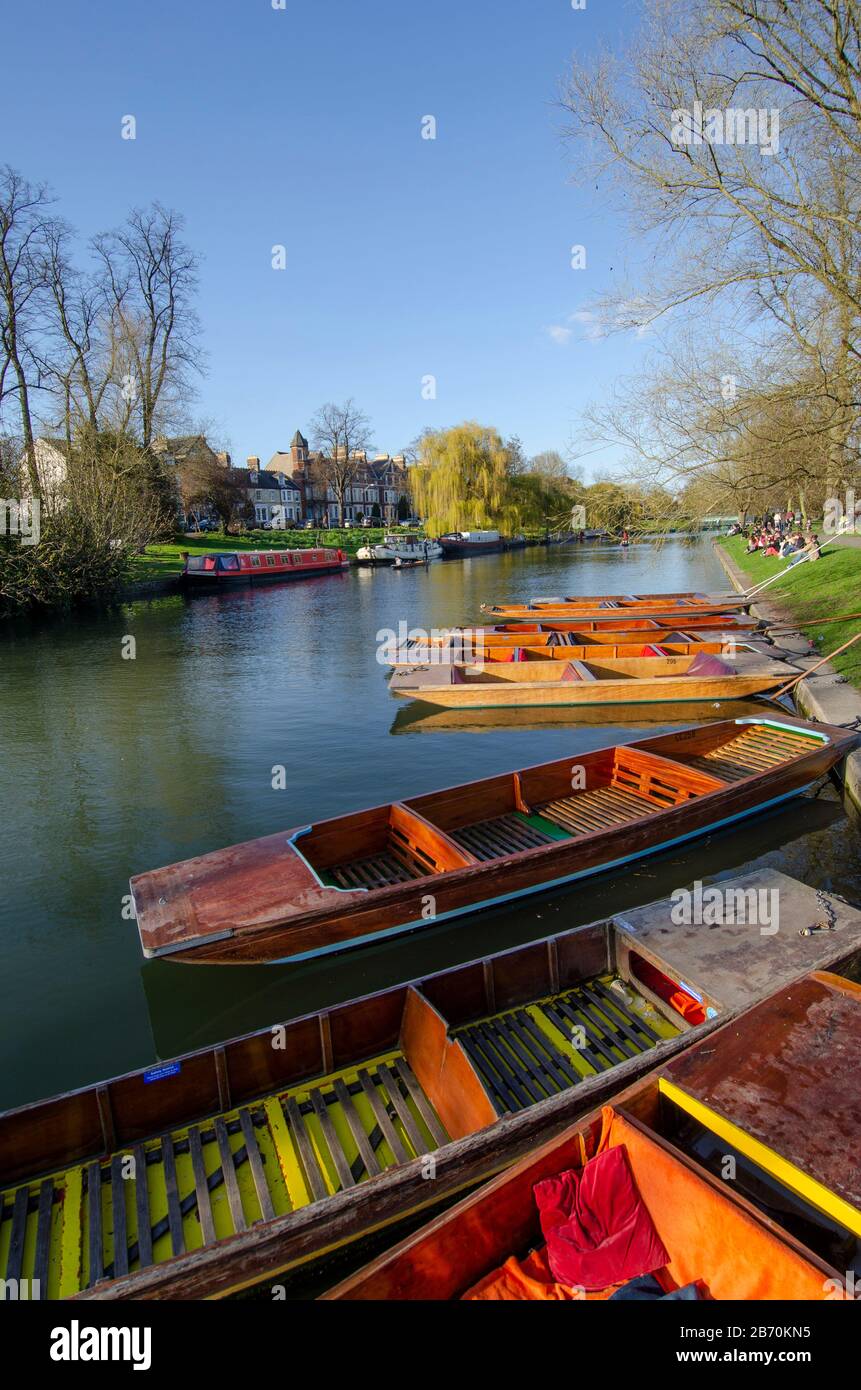 Punts colorati sul fiume Cam a Cambridge, Inghilterra Foto Stock