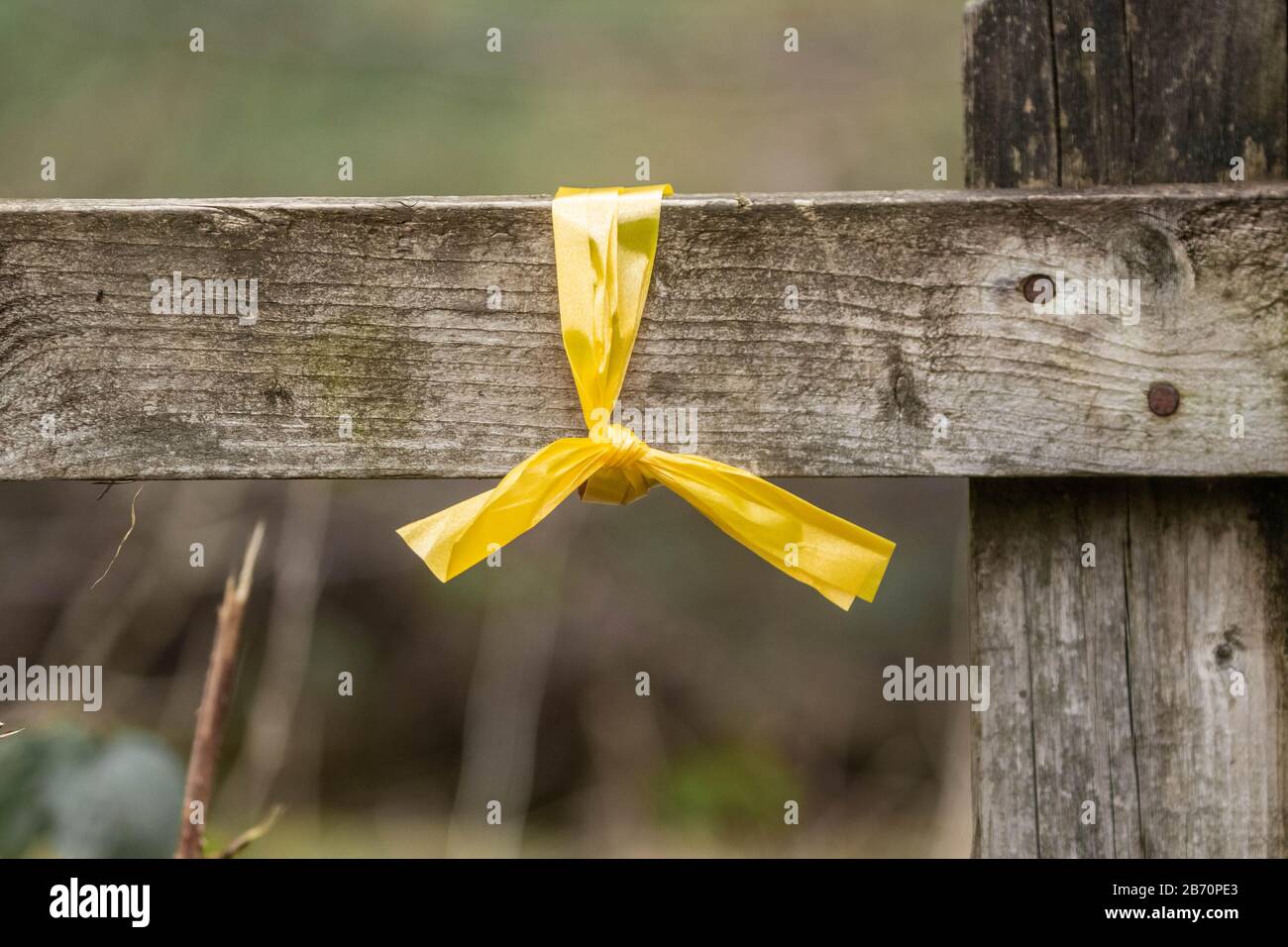 Un nastro giallo legato a una recinzione mostra il percorso per un evento a piedi. Foto Stock