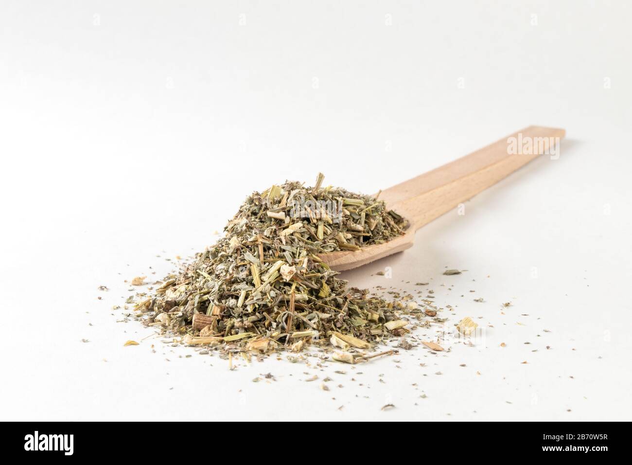 Erba di legno di Erba o in latino erba di Absinthii in cucchiaio di legno isolato su sfondo bianco. Erbe medicinali curative. Medicina erboristica. Farmaco alternativo Foto Stock