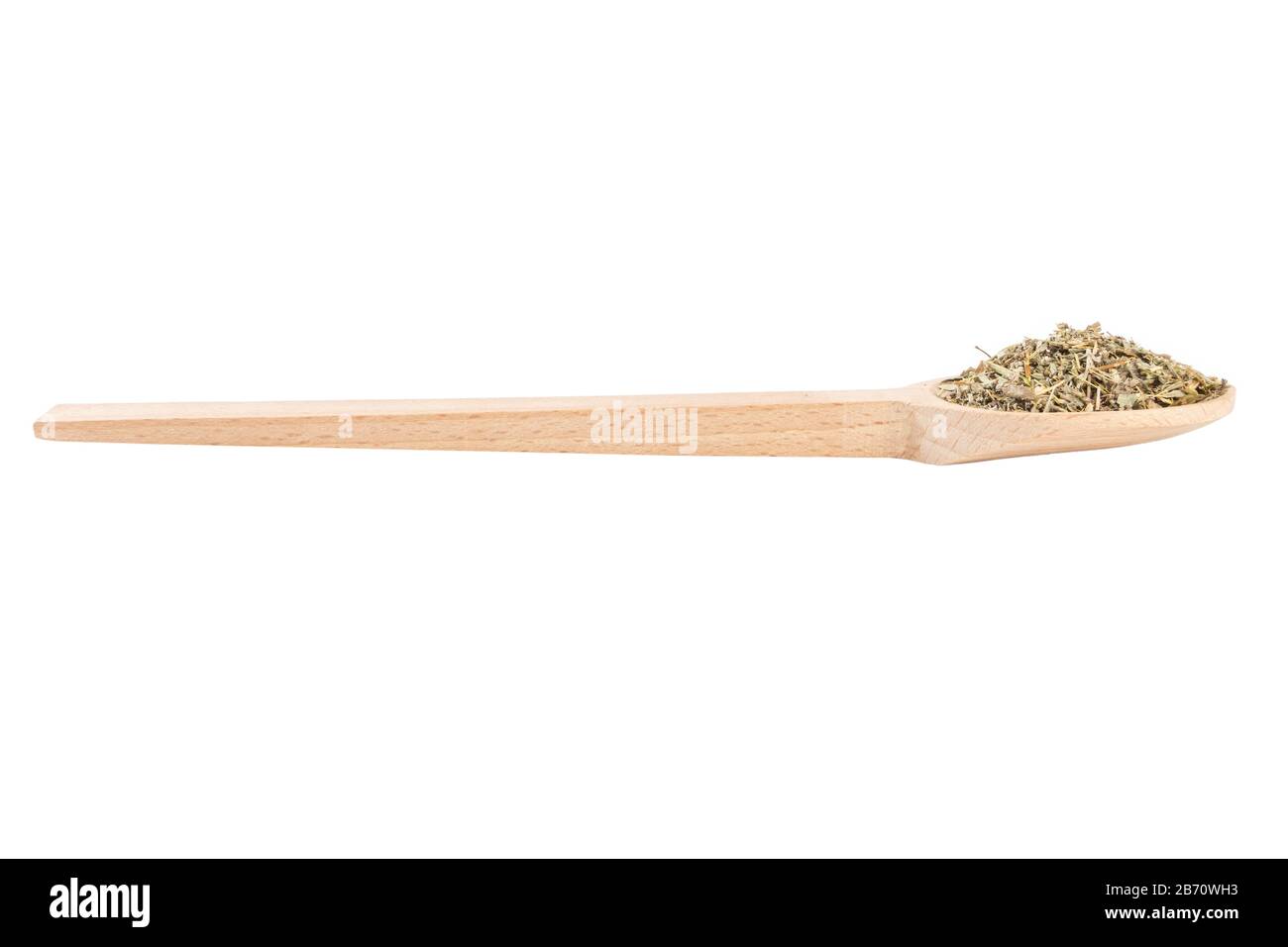 Erba di legno di Erba o in latino erba di Absinthii in cucchiaio di legno isolato su sfondo bianco. Erbe medicinali curative. Medicina erboristica. Farmaco alternativo Foto Stock