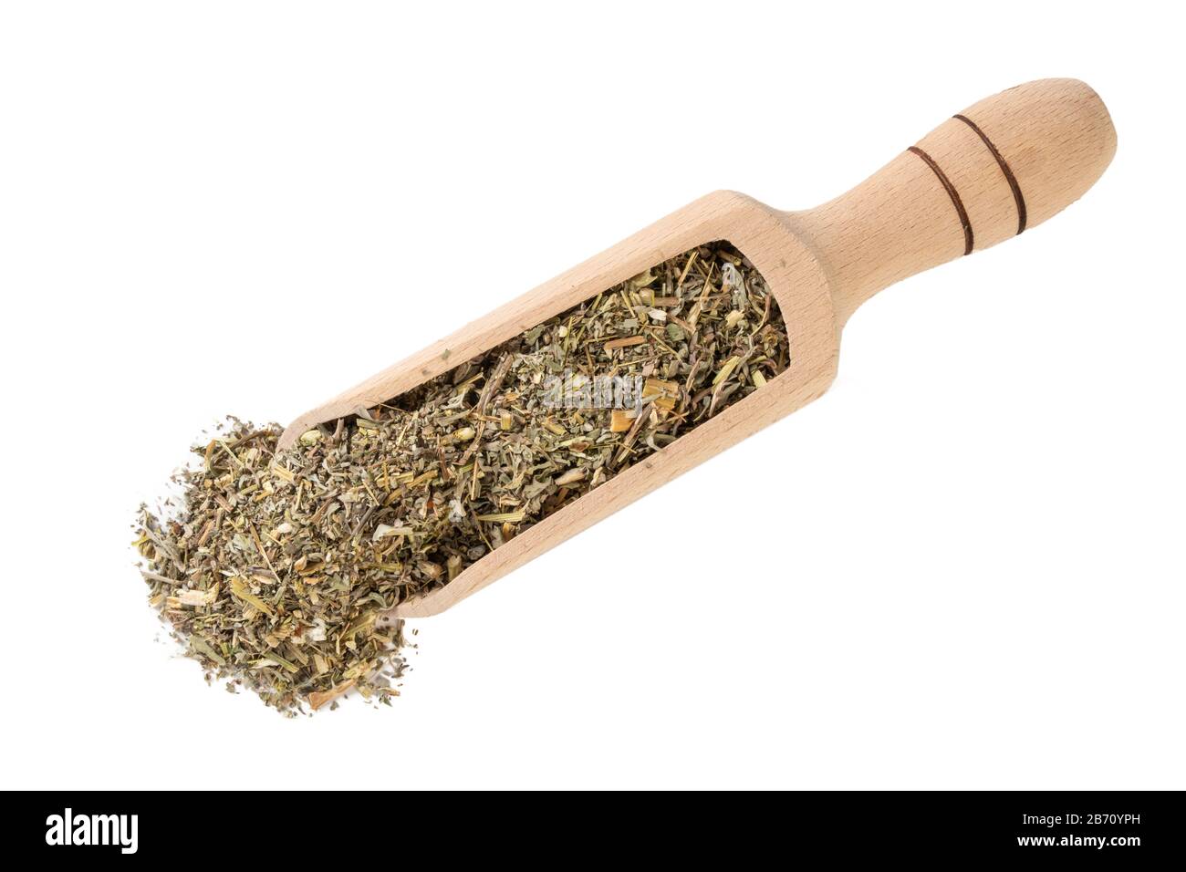 Erba di legno di mosto o in latino erba di Absinthii in paletta di legno isolata su sfondo bianco. Erbe medicinali curative. Medicina di erbe. Farmaco alternativo Foto Stock