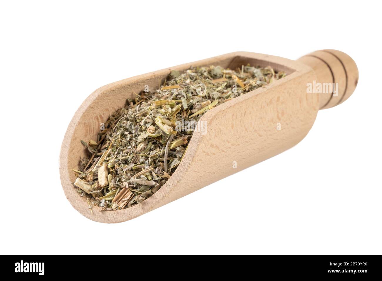 Erba di legno di mosto o in latino erba di Absinthii in paletta di legno isolata su sfondo bianco. Erbe medicinali curative. Medicina di erbe. Farmaco alternativo Foto Stock