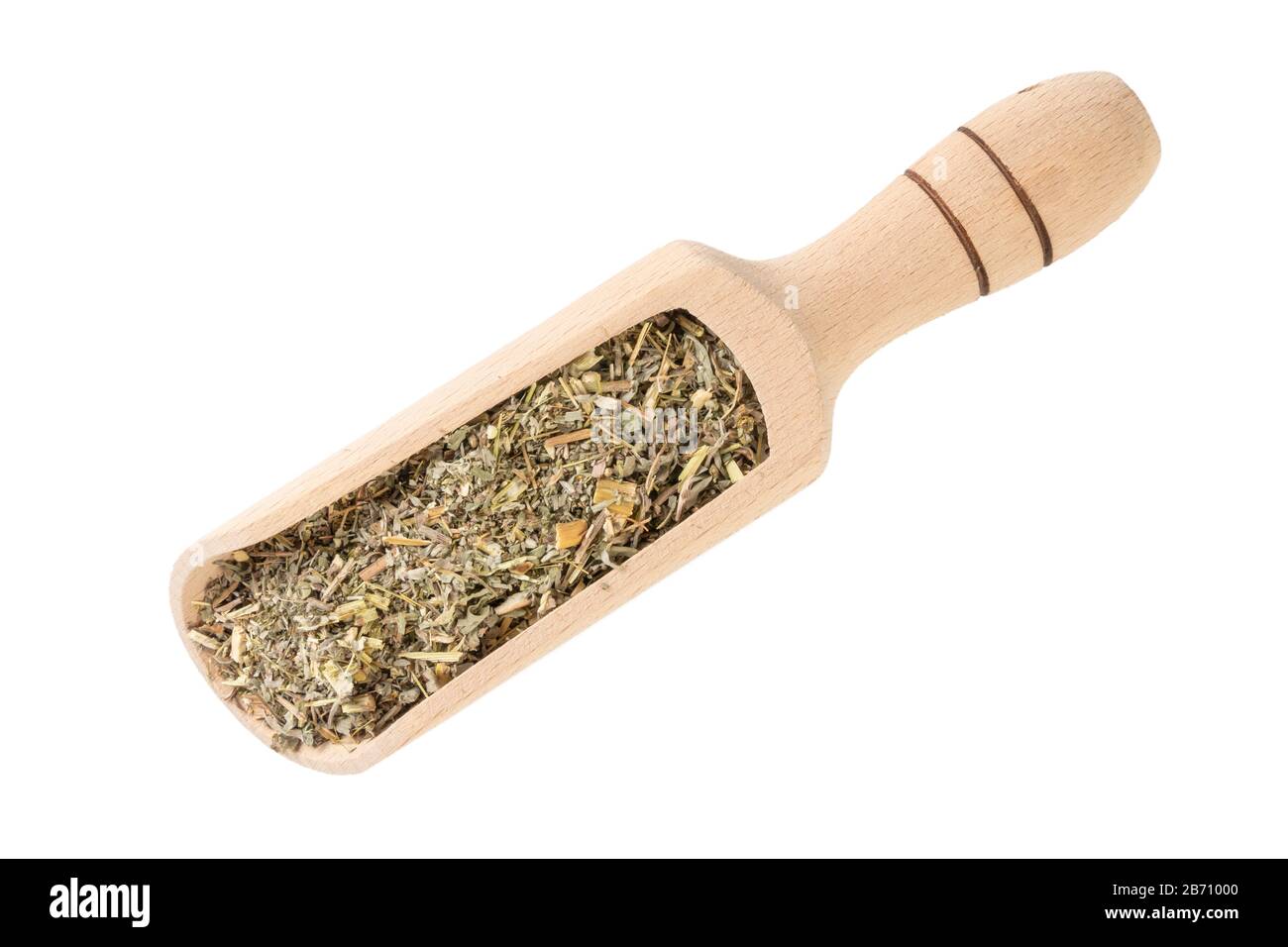 Erba di legno di mosto o in latino erba di Absinthii in paletta di legno isolata su sfondo bianco. Erbe medicinali curative. Medicina di erbe. Farmaco alternativo Foto Stock
