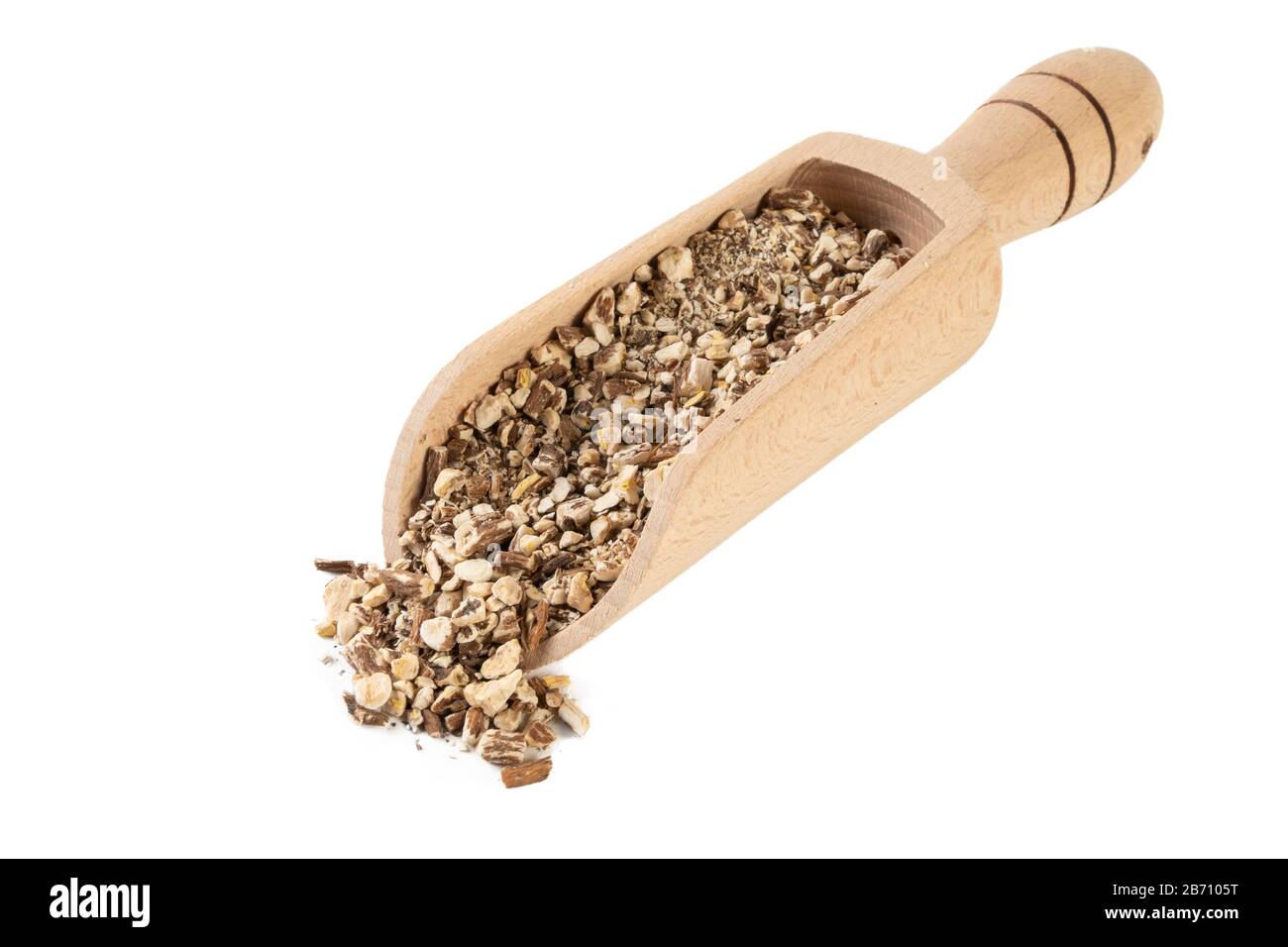 Radice di dente di leone o in latino Taraxaci radix in paletta di legno isolato su sfondo bianco. Erbe medicinali curative. Medicina erboristica. Medicina alternativa Foto Stock