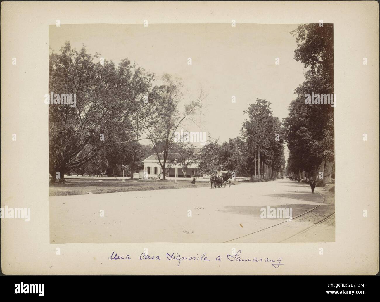 Laan ha incontrato herenhuis, rijtuig en voorbijgangers in Semarang Part Reis Album con foto di visto che: Condizioni a Marsiglia, Port Said, Aden, Bombay, Colombo, Singapore e olandese-Indië. Produttore : fotografo: Anonymous place manufacturing: Semarang Dating: CA. 1870 - ca. 1910 caratteristiche Fisiche: Albumen stampa materiali: Cartone carta fotografica tecnologia : albumina pressione dimensioni: Album foglia: H 241 mm × W 329 mm Oggetto: Strada (+ città (-paesaggio) con cifre, staffage) alloggio rurale, ad esempio, casa di campagna, villa, cottage a quattro ruote, veicolo disegnato da animali, ad esempio: Cabina, trasporto , dove co Foto Stock