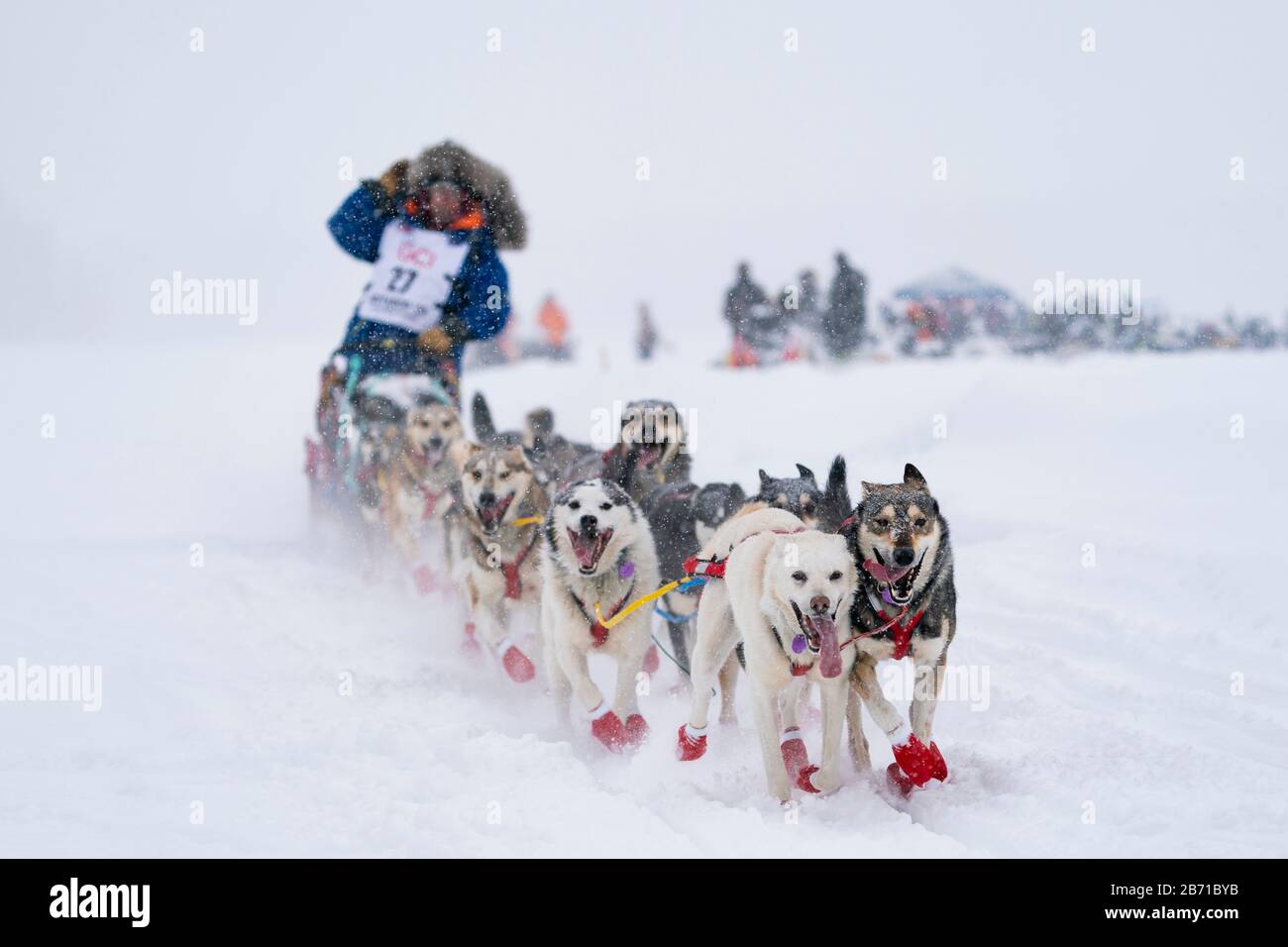 Musher Mitch Seavey in competizione nella 48a corsa di cani da slitta del percorso di Iditarod nell'Alaska centro-meridionale. Foto Stock
