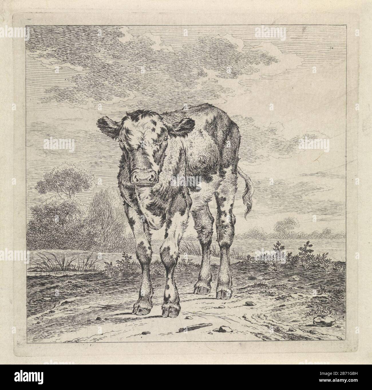 Landschap incontrò paesaggio kalf con vitello, visto dalla parte anteriore. Più lavorato rispetto a staten precedente. Produttore : stampatore: Pieter Janson Data: 1780 - 1851 caratteristiche Fisiche: Incisione; materiale di prova: Carta Tecnica: Incisione dimensioni: Bordo della lastra: H 133 mm × W 133 mm Oggetto: Polpaccio Foto Stock