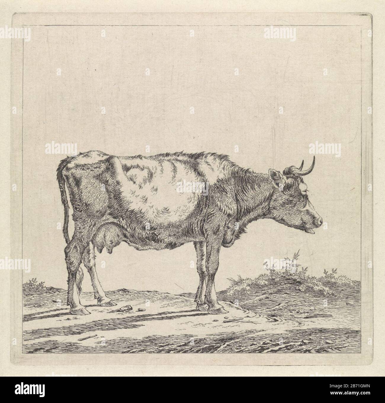 Landschap ha incontrato koe aan waterkant Landscape con mucca sul lungomare a destra. Prima dell'aria, e achtergrond. Produttore : stampatore: Pieter Janson Data: 1780 - 1851 caratteristiche Fisiche: Incisione; materiale di prova: Carta Tecnica: Incisione dimensioni: Bordo della lastra: H 134 mm × W 138 mm Oggetto: Mucca Foto Stock