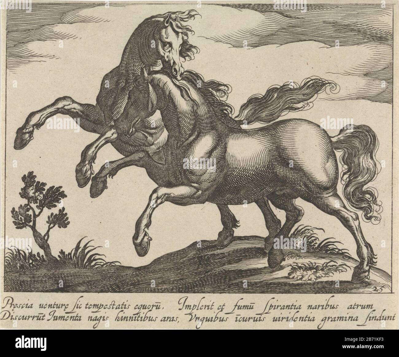 Landschap ha incontrato twee galoppelende paarden Paardenrassen (seriettel) Paesaggio con due cavalli galoppanti, entrambi girati a sinistra. Nel margine di una firma a due righe in latino. Stampa da una serie di trenta con paardenrassen. Produttore : produttore di stampe: Egbert di Panter alla progettazione: Antonio Tempesta Editore: Frederick The WitPlats fabbricante: Amsterdam Dating: CA. 1590 - 1637 caratteristiche Fisiche: Engra e materiale di incisione: Carta Tecnica: Engra (processo di stampa) / dimensioni di incisione: Foglio: 134 mm × h 163 b mm Oggetto: Cavallo Foto Stock