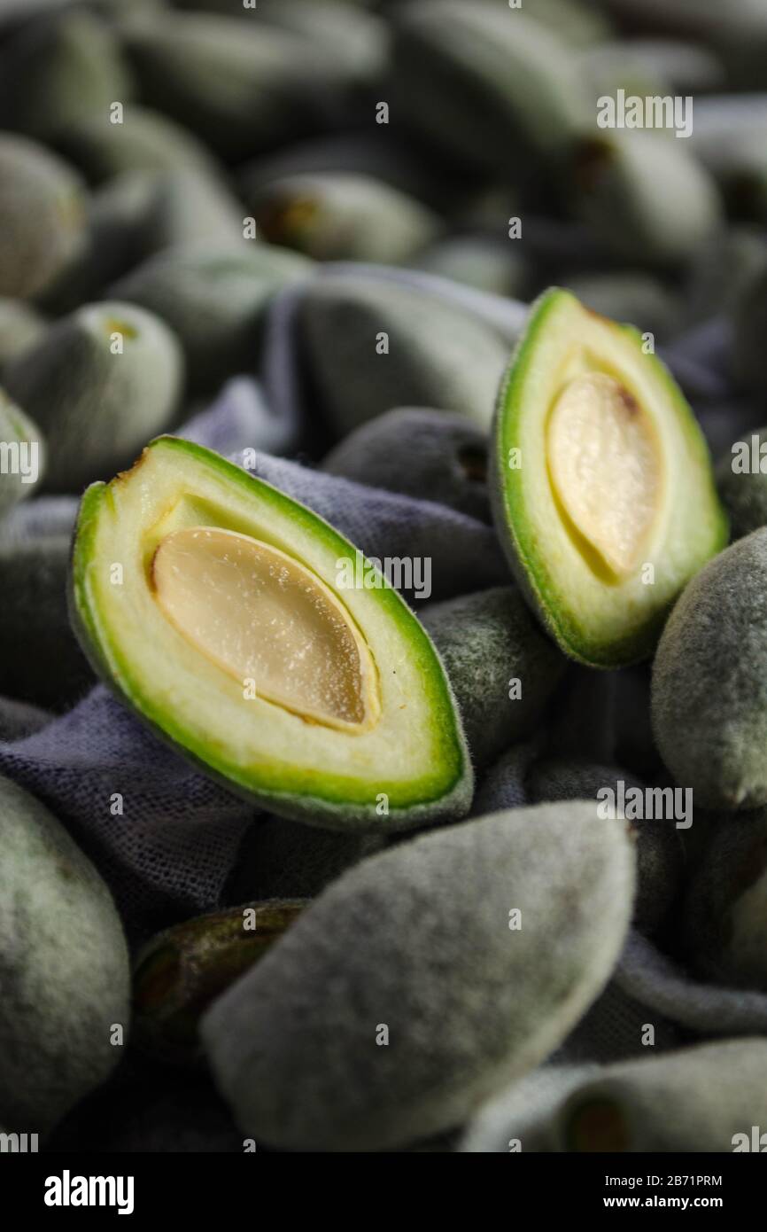 Mandorle verdi, frutto giovane e immaturo della mandorla raccolta prima che il guscio esterno si sia indurito. Foto Stock