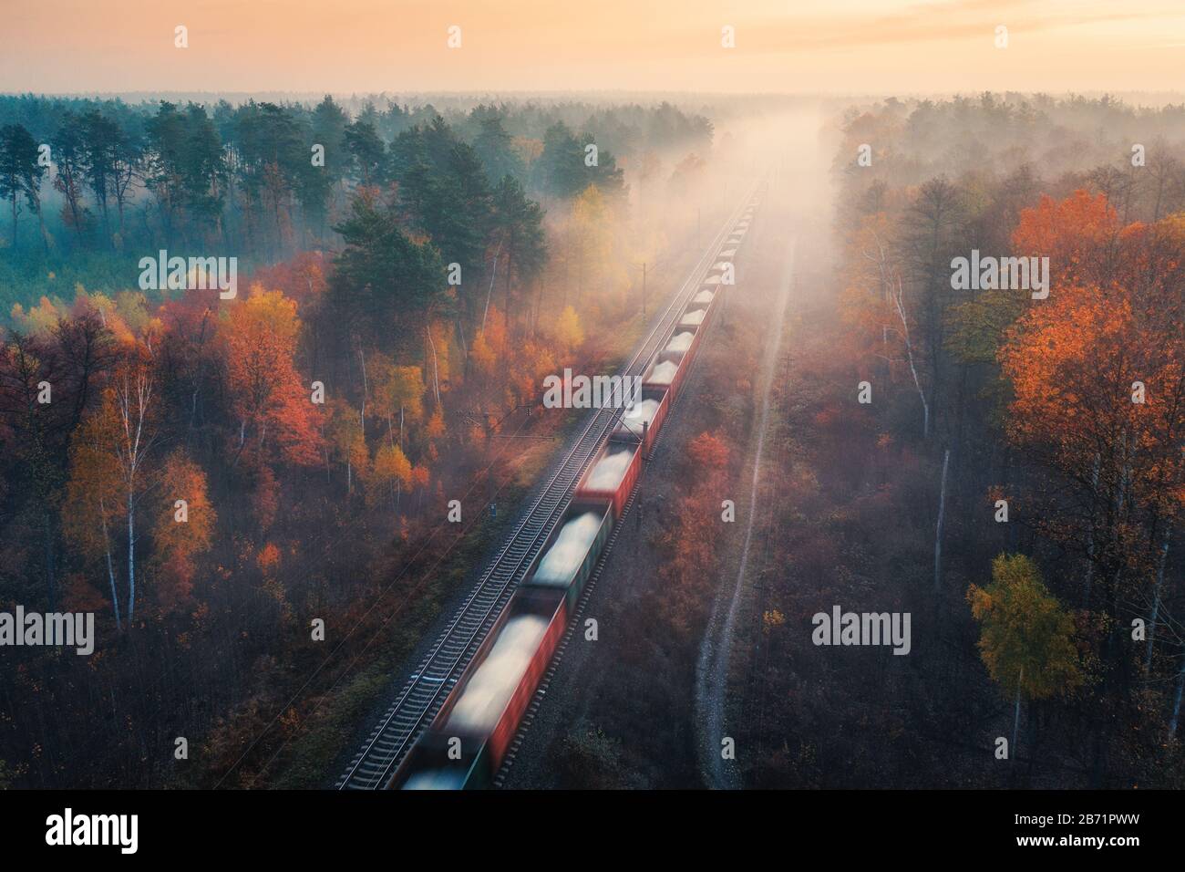 Veduta aerea del treno merci in autunno foresta in nebbia all'alba Foto Stock