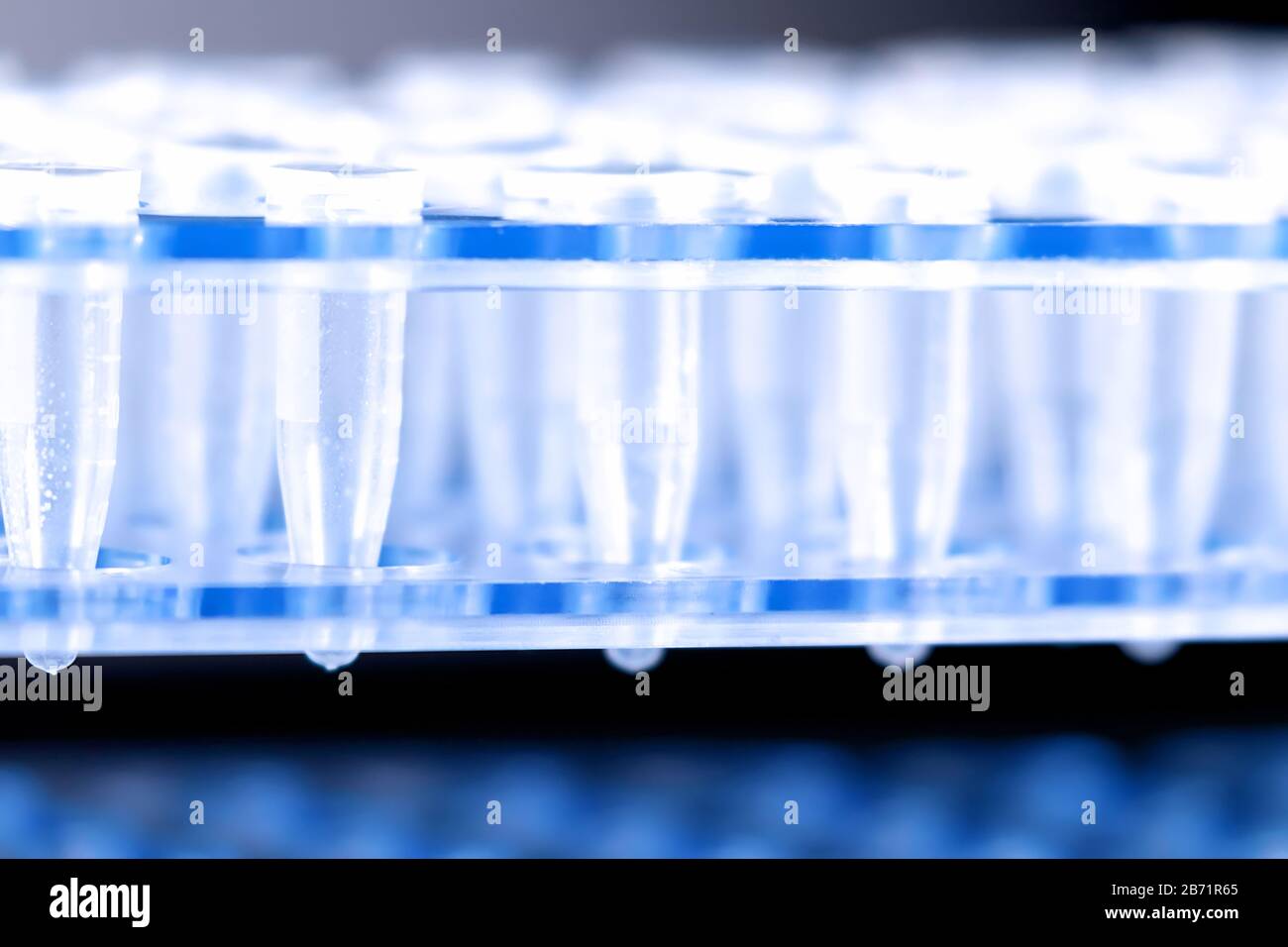 Provette per centrifuga per prove in plastica science