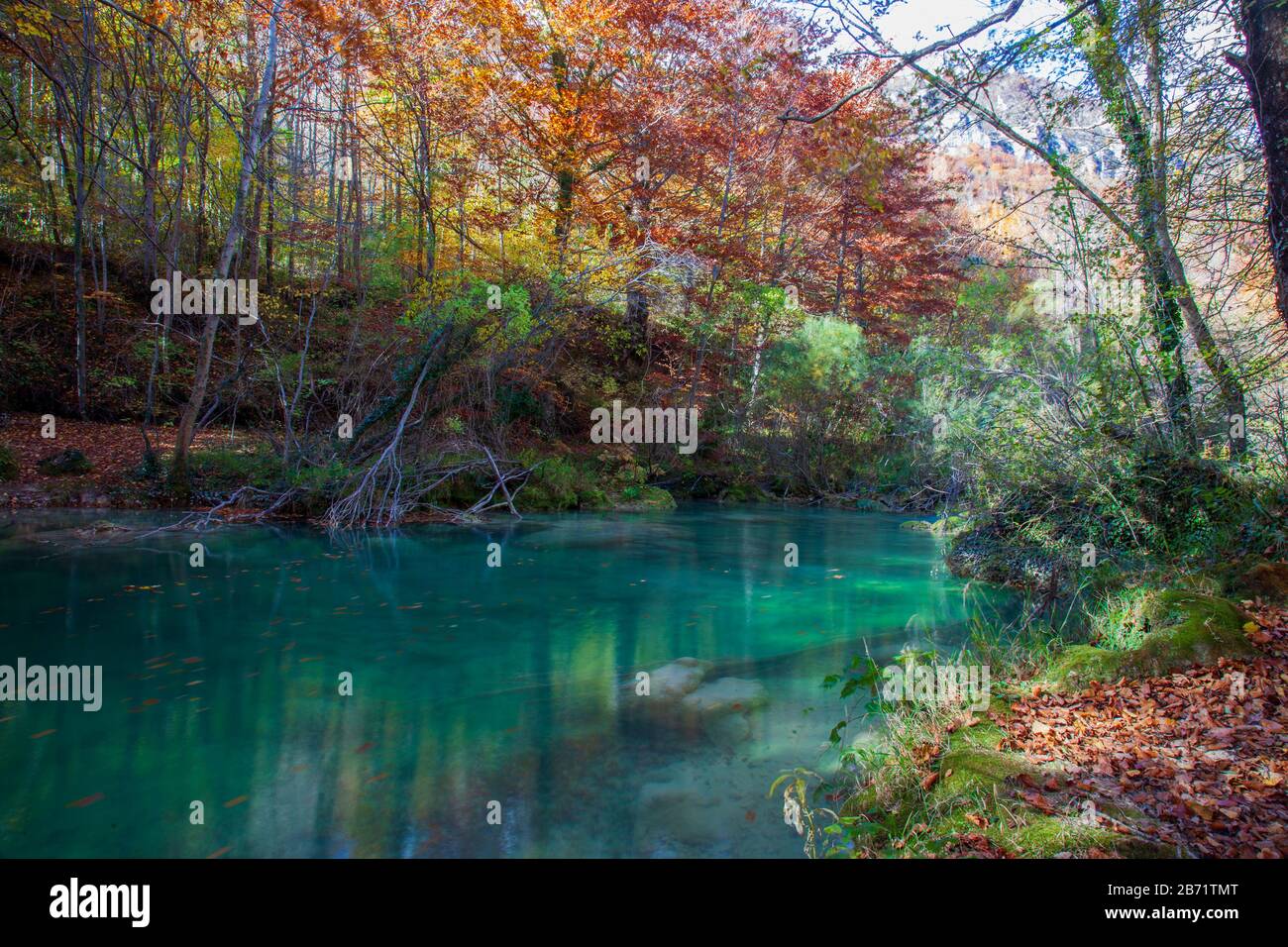 Fiume Urederra, parco naturale. Navarra, Spagna Foto Stock