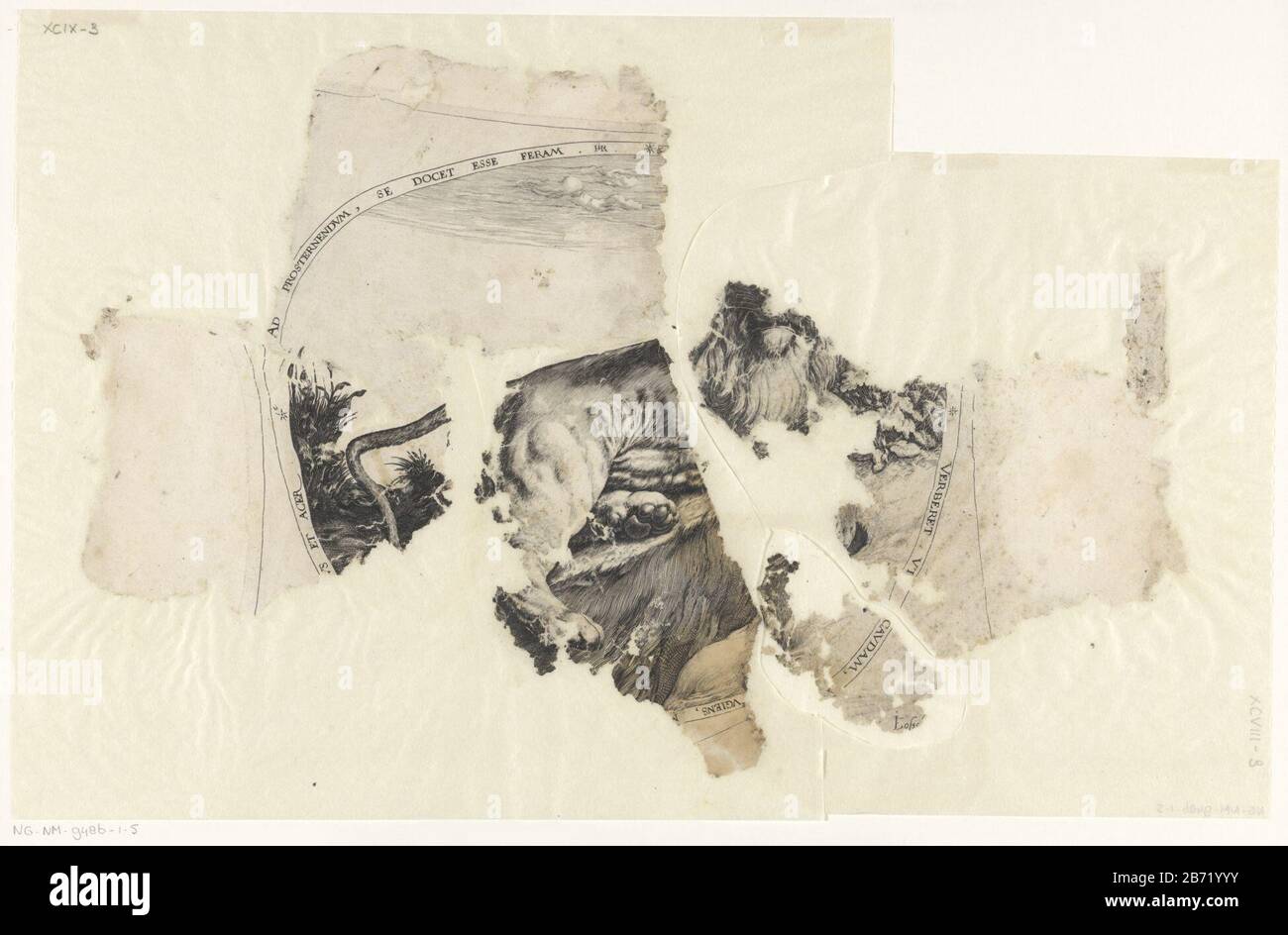 Leeuw Oval rappresentazione di un leone giacente su un cranio. Per mostrare un'iscrizione latina. Ricostruito da tre frammentazioni. Produttore : stampatore Jacob de Gheyn (II) autore: Heyman Jacobi (edificio elencato) editore: Joos de Bosscher Luogo produzione: Paesi Bassi del Nord Data: 1580 - circa 1596 caratteristiche Fisiche: Materiale per auto: Tecnica della carta: Engra (processo di stampa) dimensioni: Foglio: H 330 mm × W 498 mmToelichtingDe stampa nella collezione Nova Zembla durante una spedizione di William Barendsz e Jacob van Heemskerk nel 1596-1597 costretto nel campo invernale, 'Preserve House ', lasciato dietro Foto Stock