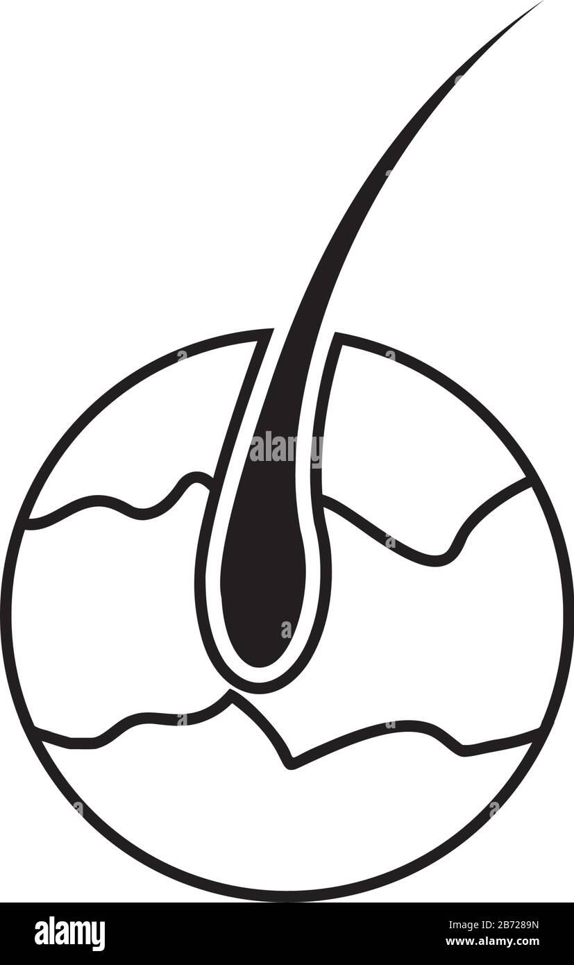 Immagine isolata vettoriale modello icona capelli pelle Illustrazione Vettoriale