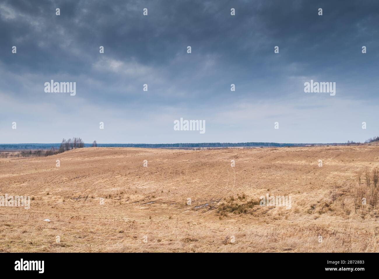 Bellissimo cielo blu e verde erba gialla. Foto Stock
