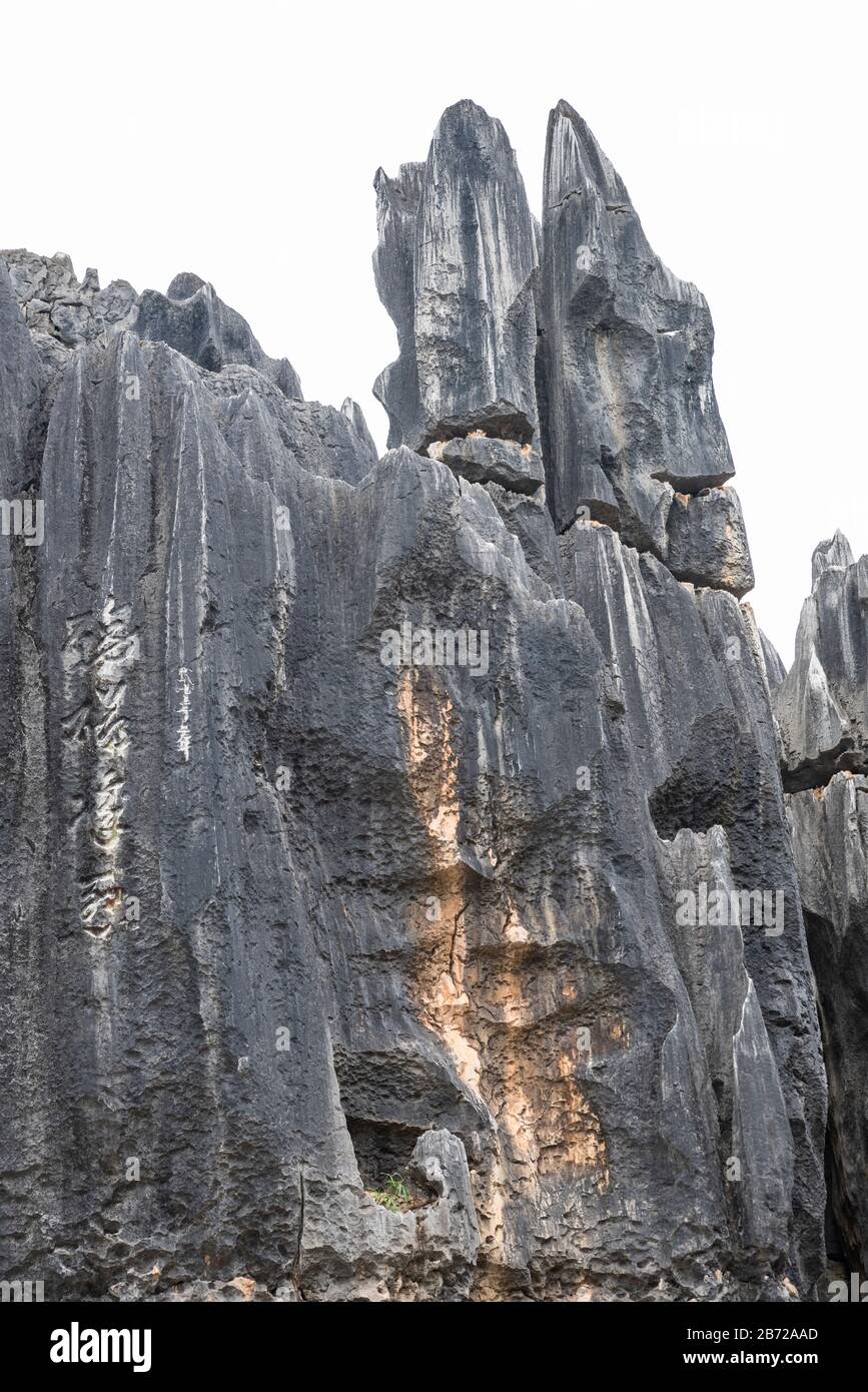 La Foresta di pietra a Kunming, Yunnan è una meraviglia geologica calcarea che copre oltre 80 ettari ed è stato dichiarato Patrimonio dell'Umanità Dall'Unesco. Foto Stock