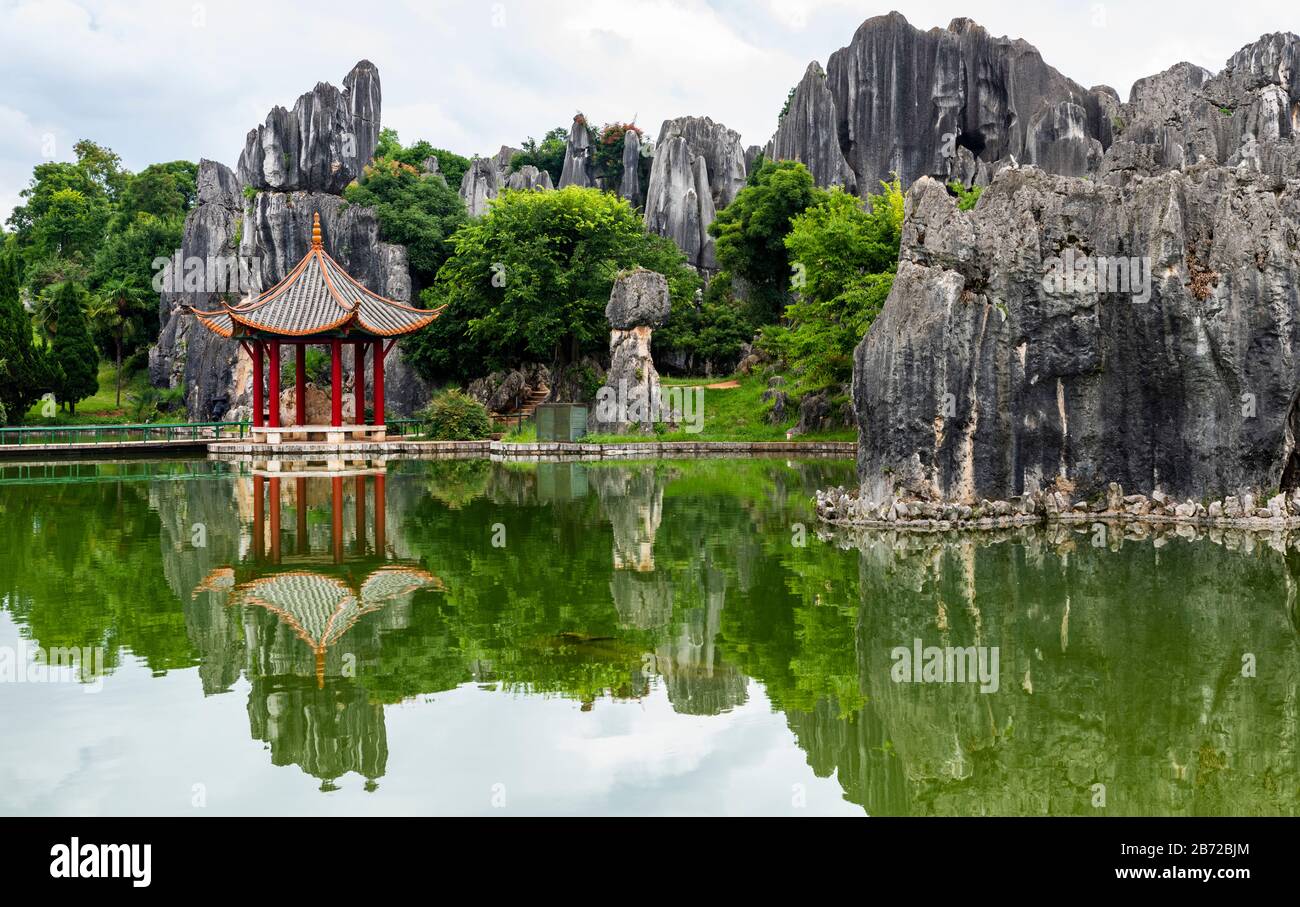 La Foresta di pietra a Kunming, Yunnan è una meraviglia geologica calcarea che copre oltre 80 ettari ed è stato dichiarato Patrimonio dell'Umanità Dall'Unesco. Foto Stock