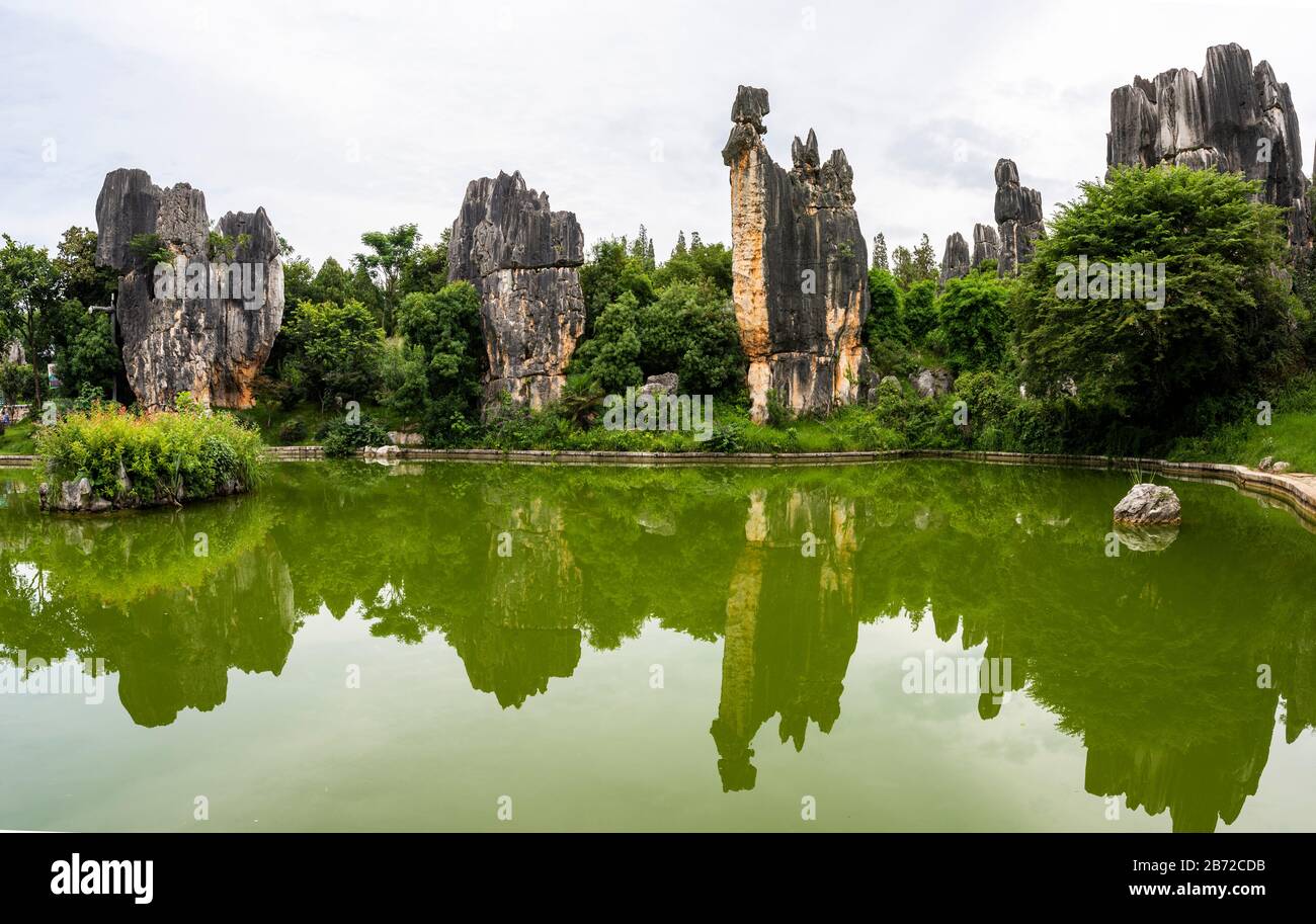 La Foresta di pietra a Kunming, Yunnan è una meraviglia geologica calcarea che copre oltre 80 ettari ed è stato dichiarato Patrimonio dell'Umanità Dall'Unesco. Foto Stock
