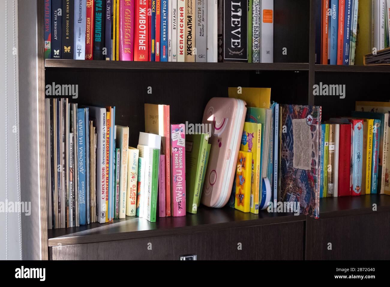 Libri in lingua russa su uno scaffale. Libri di diverse dimensioni e colori Foto Stock