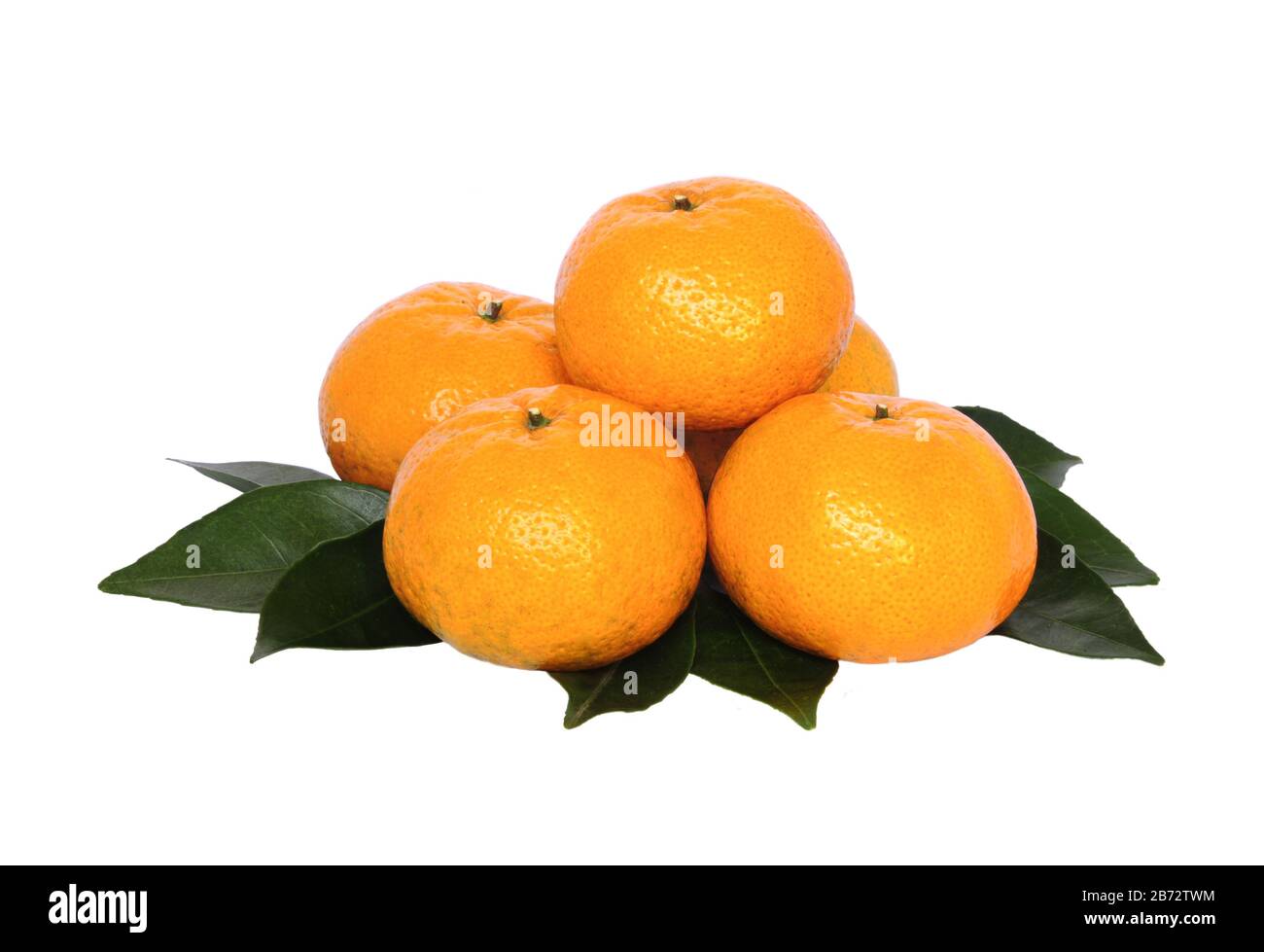 Agrumi, frutti di mandarino Xinhui isolati su fondo bianco. Agrumi, frutti di mandarino Xinhui isolati su fondo bianco. Foto Stock