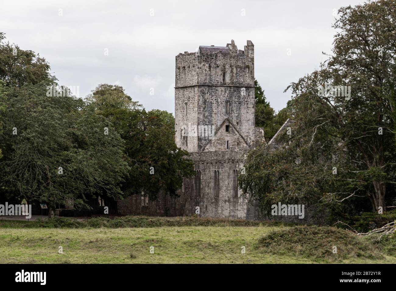 L'abazia abbandonata di Muckross a Killarney, Irlanda Foto Stock