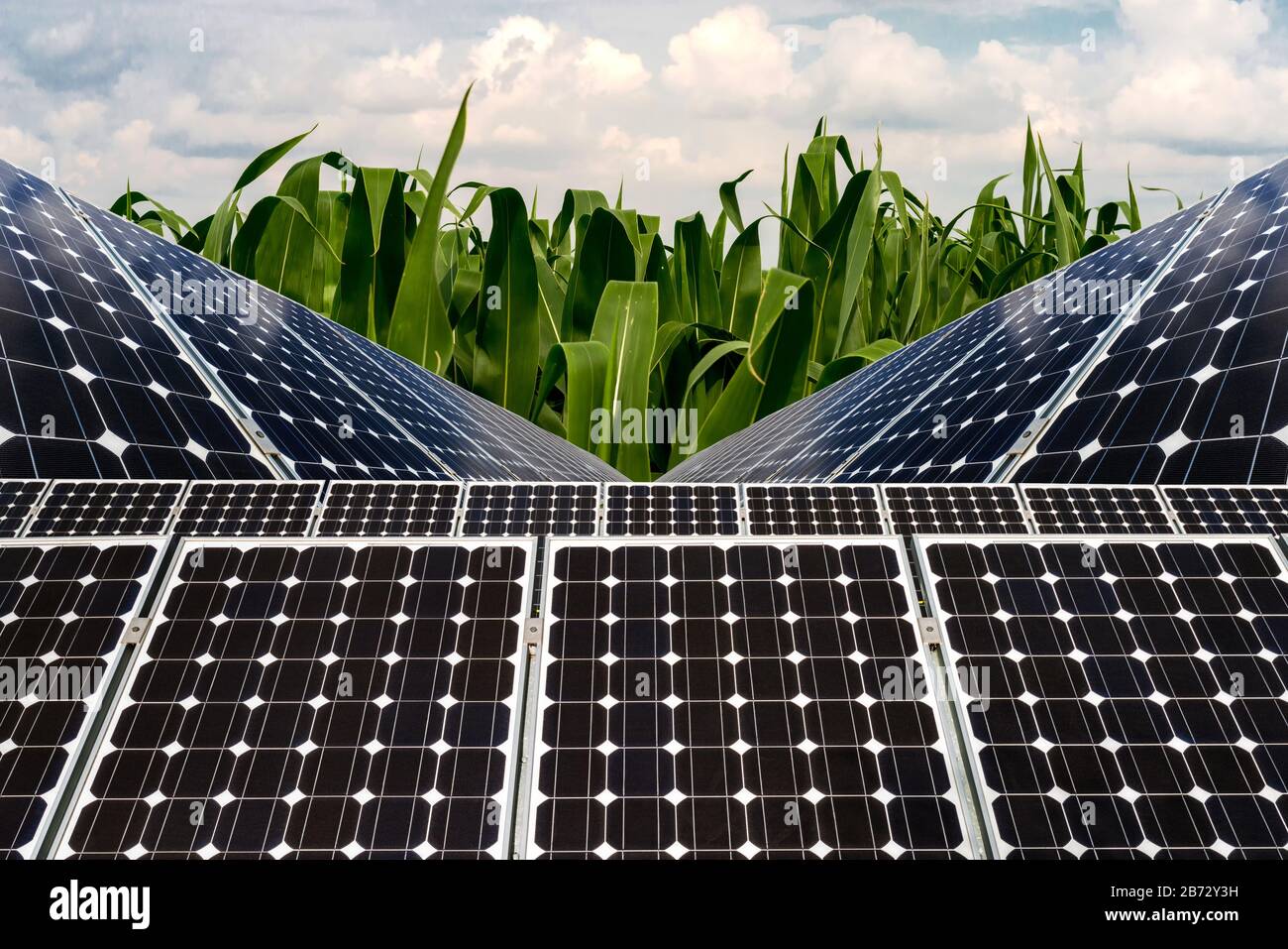Collage fotografico di pannelli solari contro lo sfondo dei raccolti - immagine concettuale Foto Stock