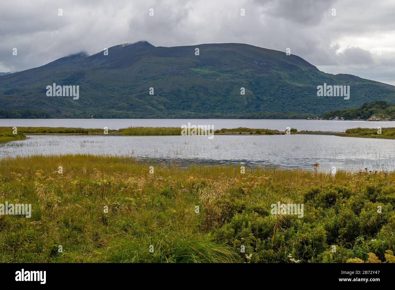 Muckross Lake nel Parco Nazionale di Killarney in Irlanda Foto Stock