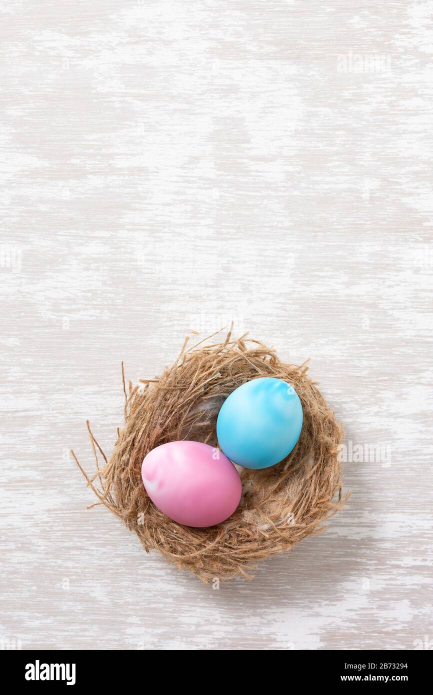 Uova di pasqua rosa e blu in nido su semplice bianco lavaggio tavolo in legno - piatto laici orientamento ritratto immagine concetto di pasqua con spazio di copia per il testo. Foto Stock