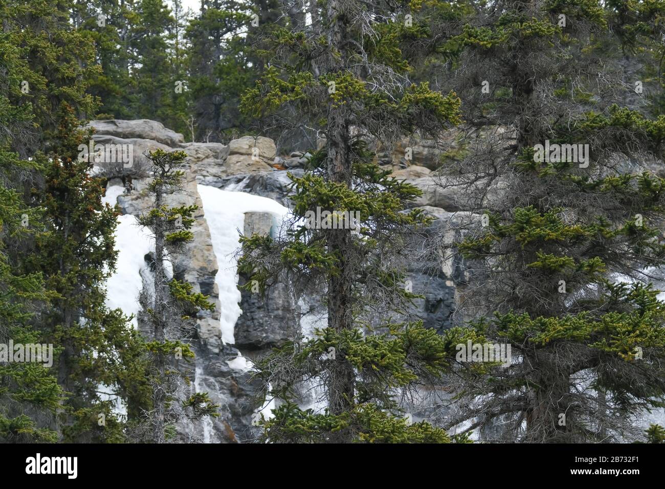 Cascate Di Tangle Creek Nel Jasper National Park, Alberta, Canada. Foto Stock