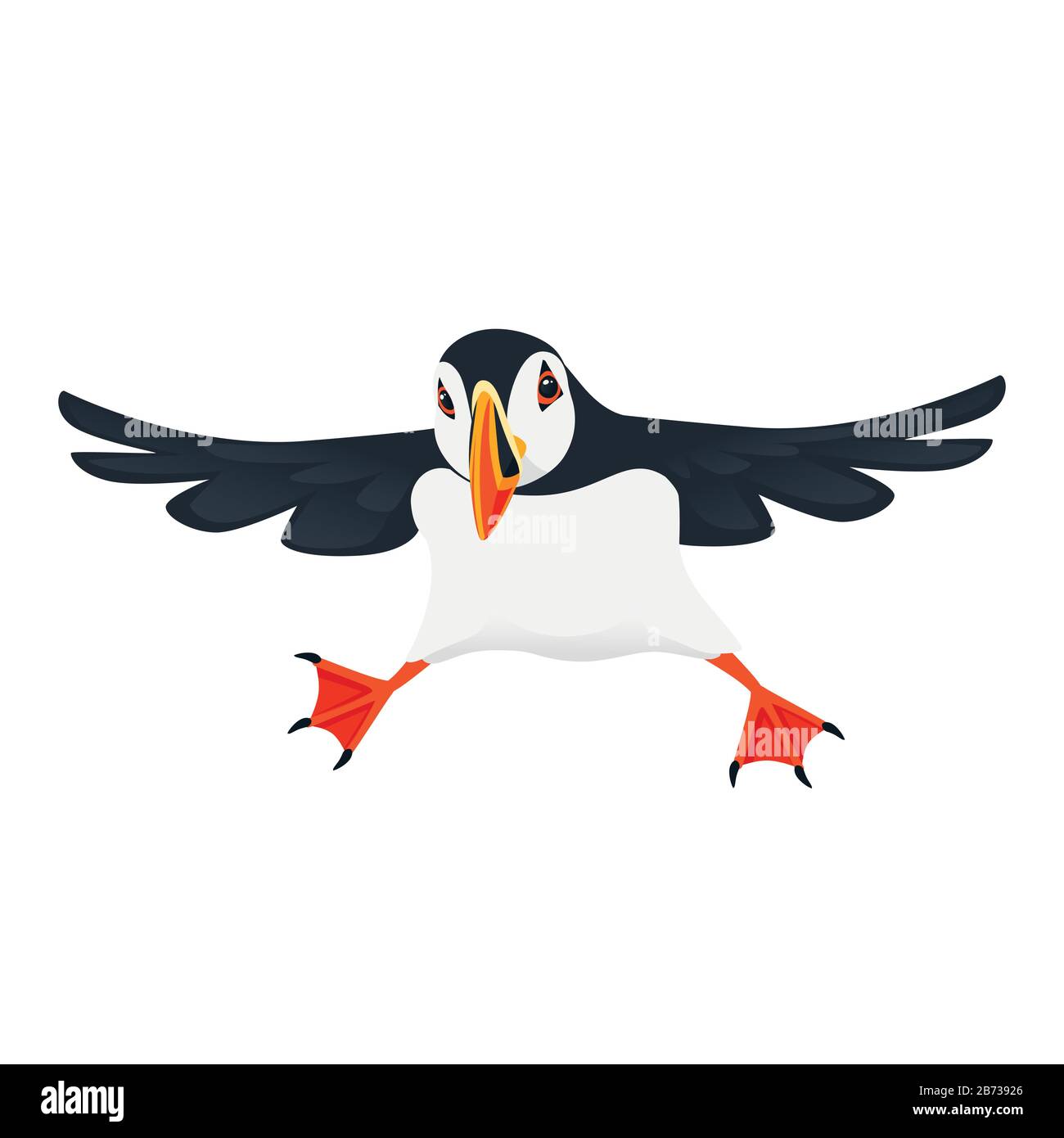 Atlantic puffin uccello cartone animato animale disegno piano vettore  illustrazione isolato su sfondo bianco Immagine e Vettoriale - Alamy