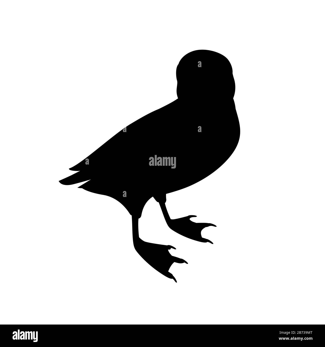 Silhouette nera atlantico puffin uccello cartone animato animale disegno piatto vettore illustrazione isolato su sfondo bianco. Illustrazione Vettoriale