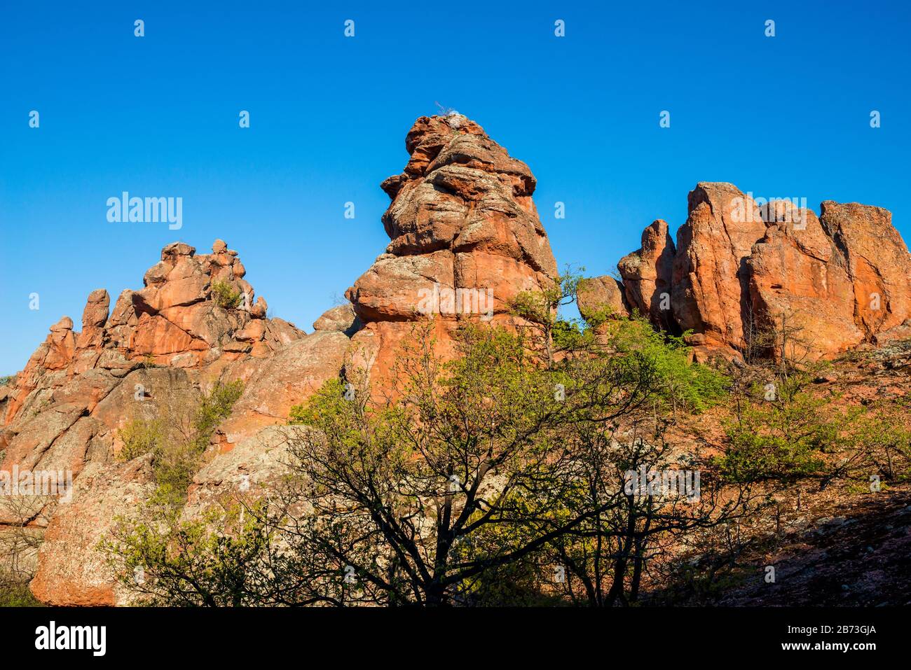 Le rocce di Belogradchik (Bulgaria) - sculture di roccia di colore rosso parte del Patrimonio Mondiale dell'UNESCO che sono stati nominati al nuovo mondo Foto Stock